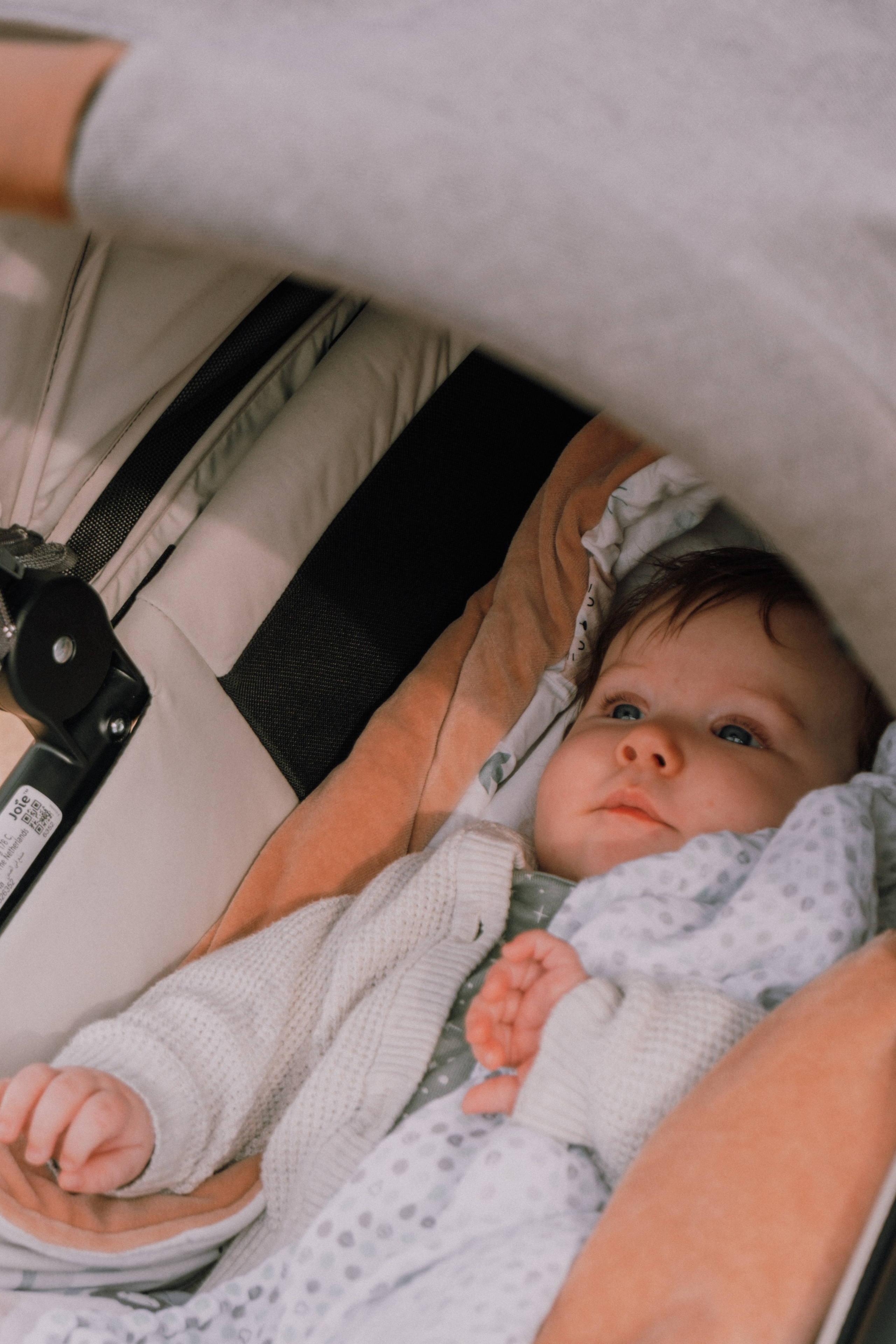 Sesión familiar. Профессиональная фотосъемка в Калафелле — Елена Медведева