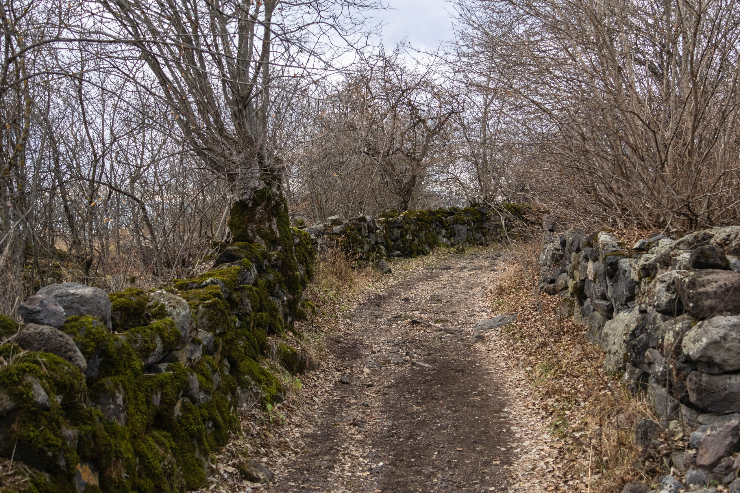 სამშვილდე. FramefreeMan