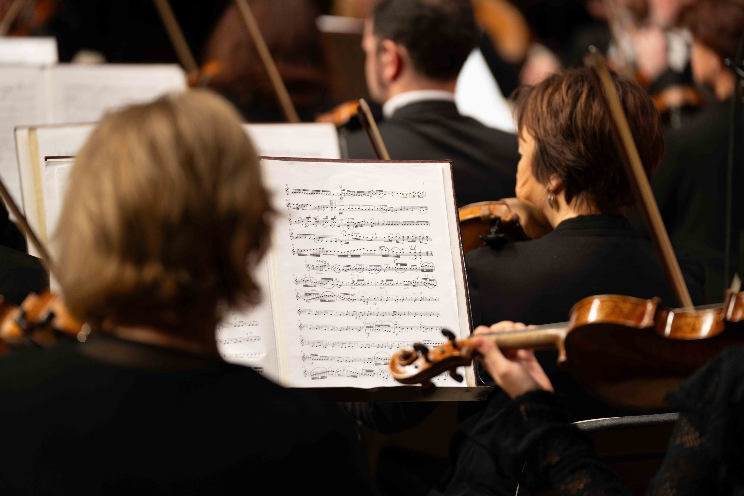The Tchaikovsky Academic Grand Symphony Orchestra in Baku. Wedding&Event photographer Ismail Rzayev in Baku