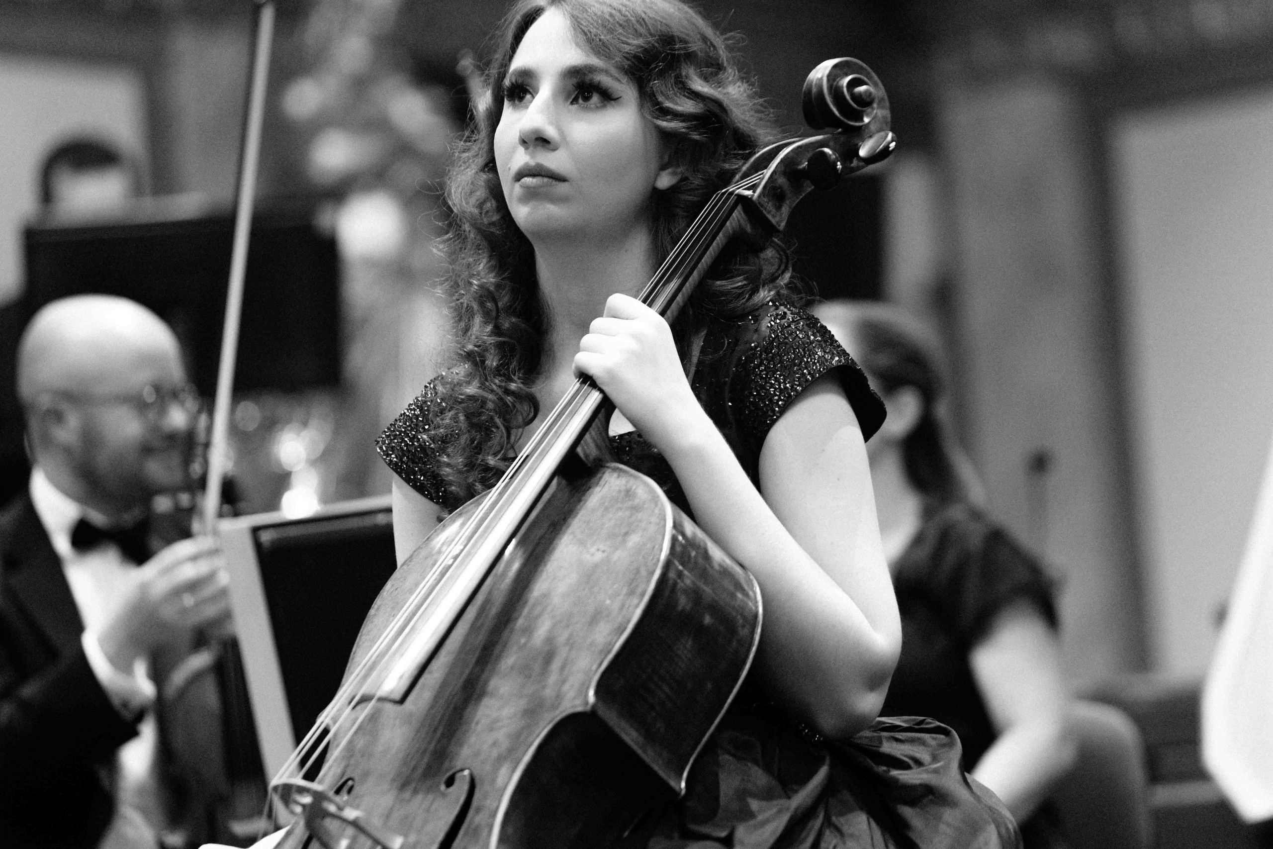 MUSIKVEREIN (VIENNA). Wedding&Event photographer Ismail Rzayev in Baku