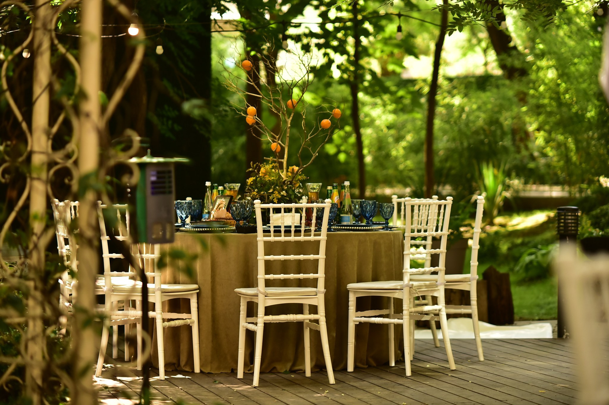 Orangery Restaurant & Terrace. Главная