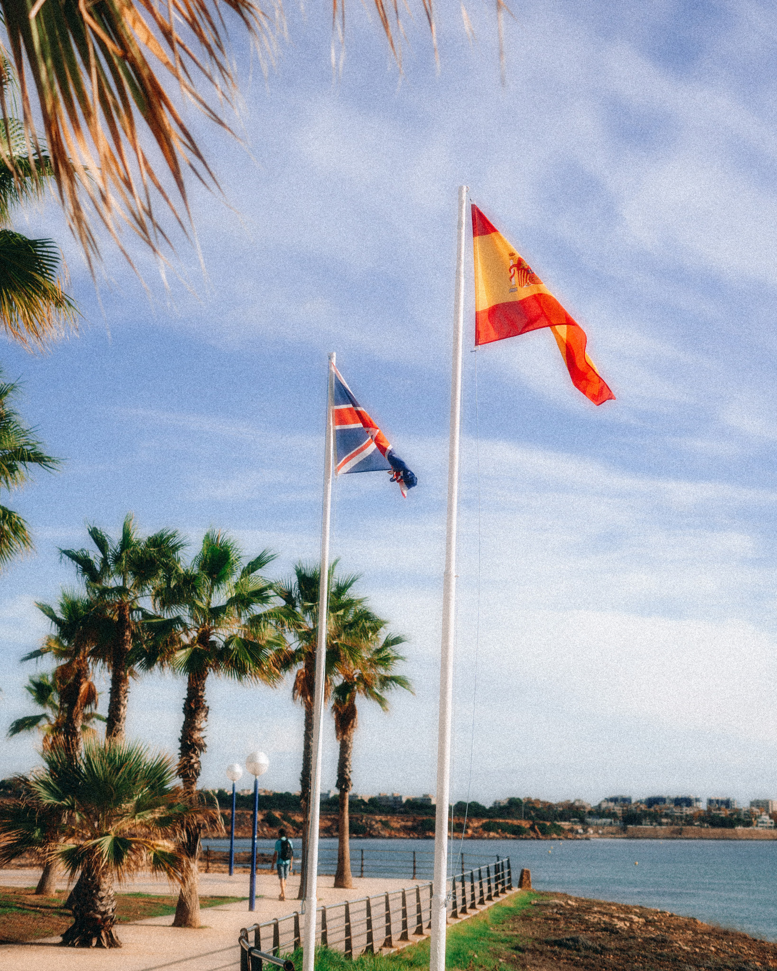 Roaming. Mike Avelli