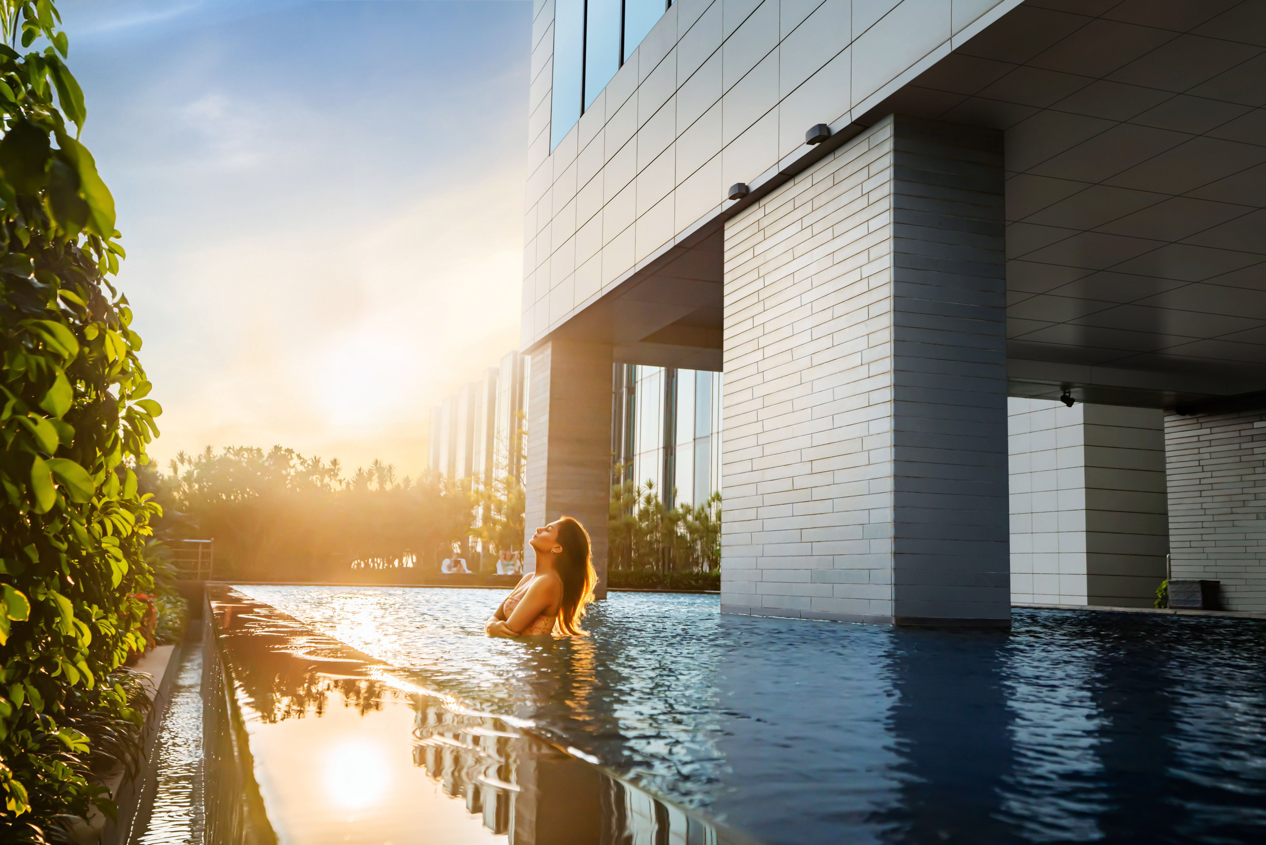 Mohit Holani | Director