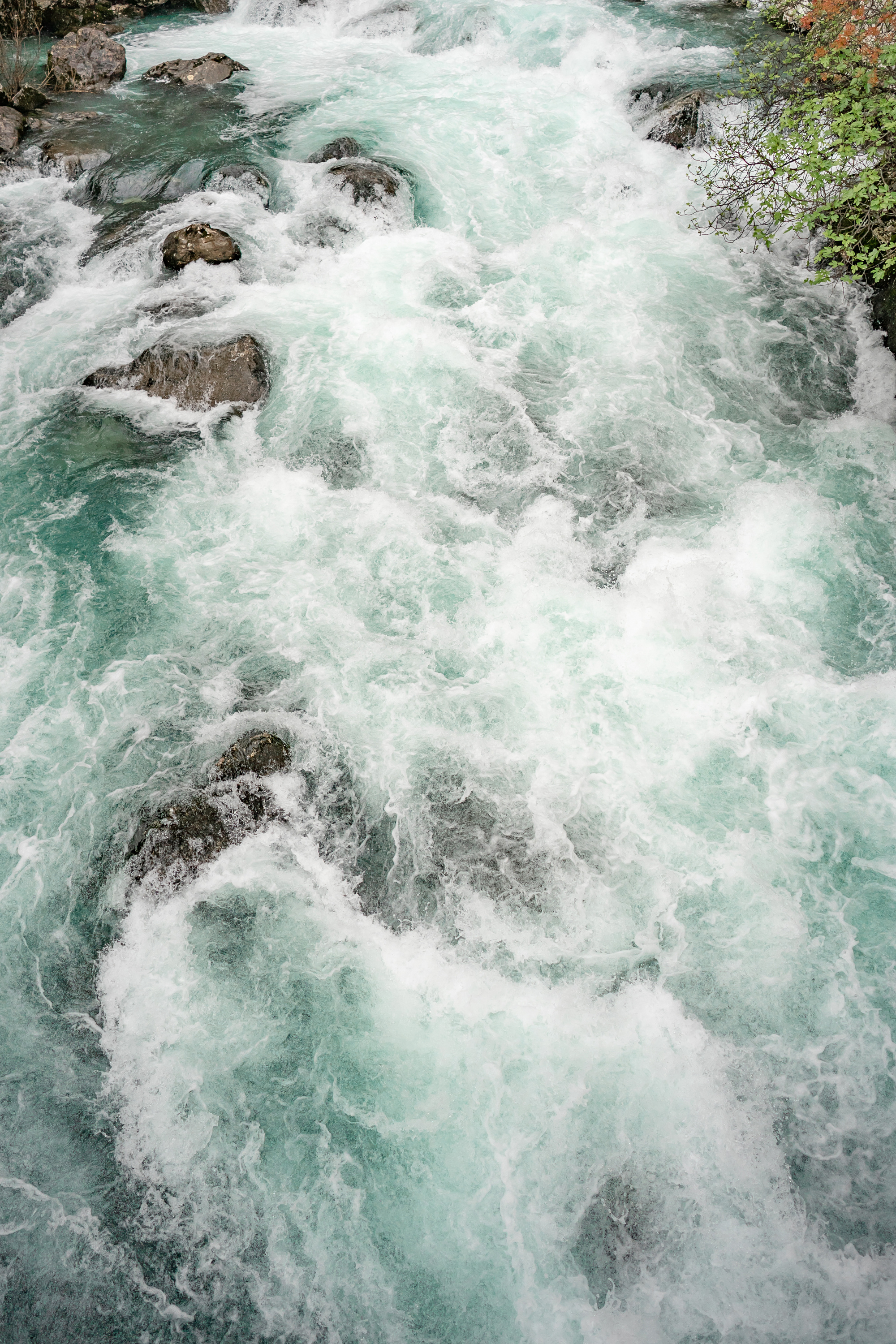 ♥️💍Свадьба в Перасте в Черногории