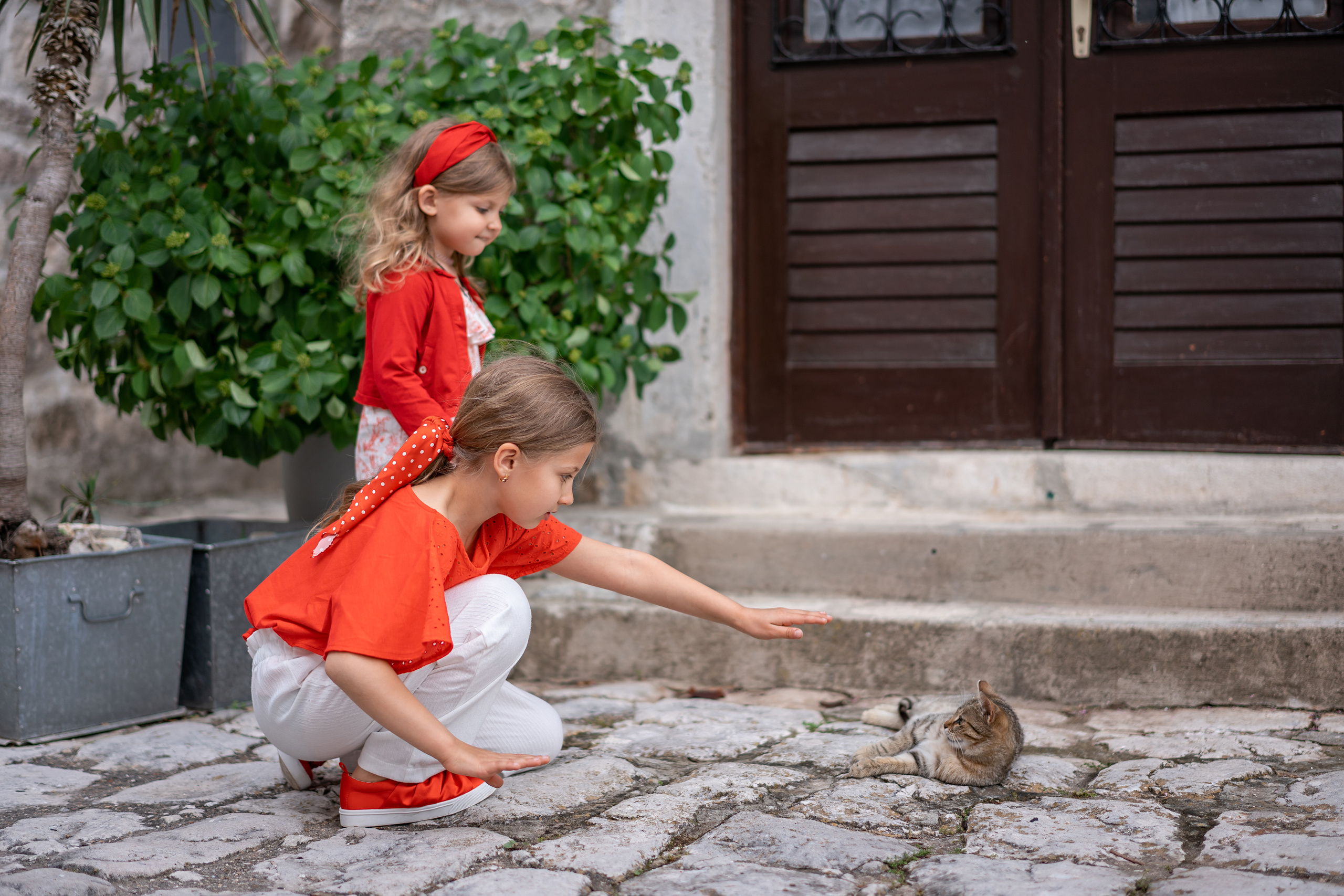 Familienfoto, Wandern in Perast