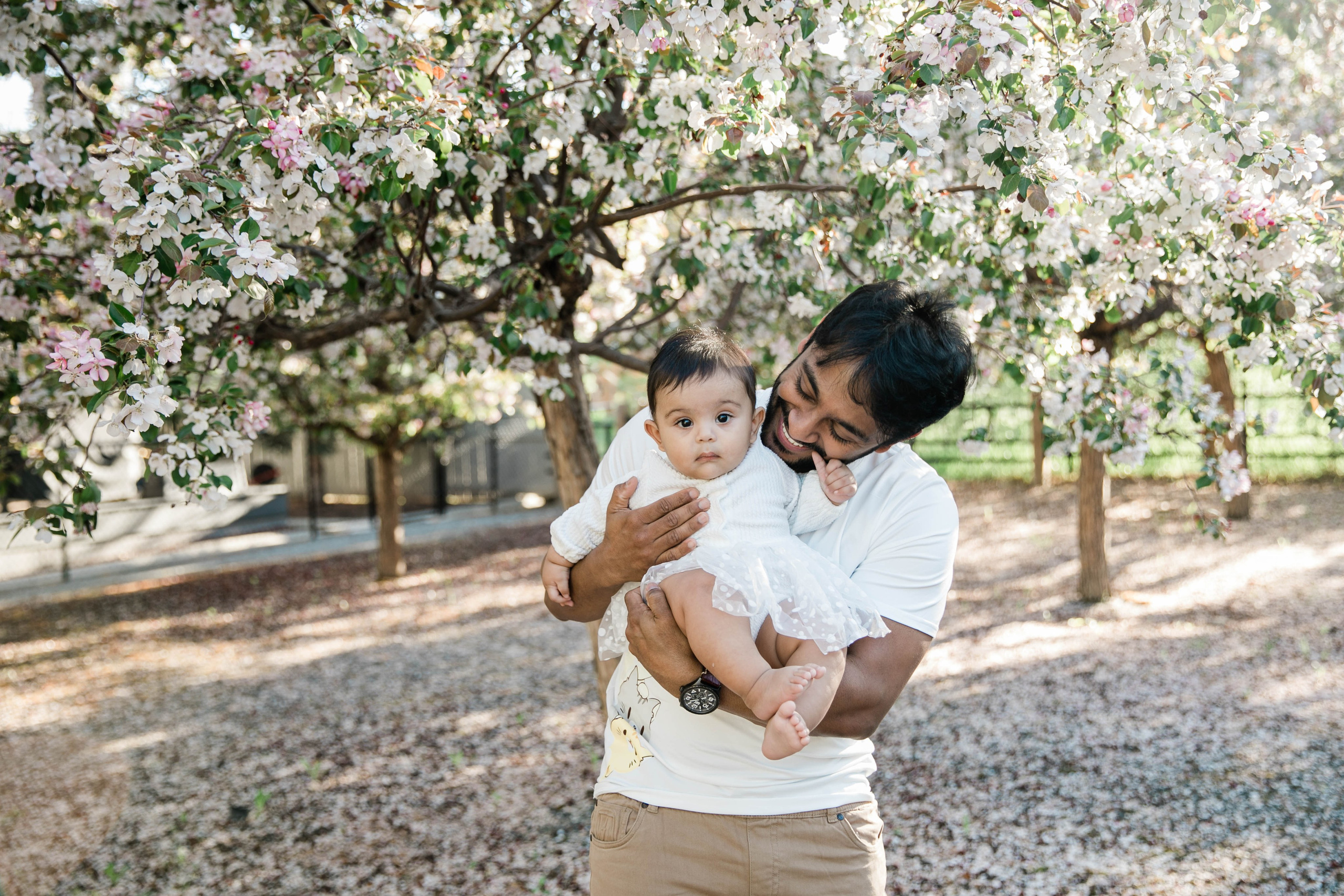 Nabeel Cherry Blossoms. Fotografía accesible en Calgary