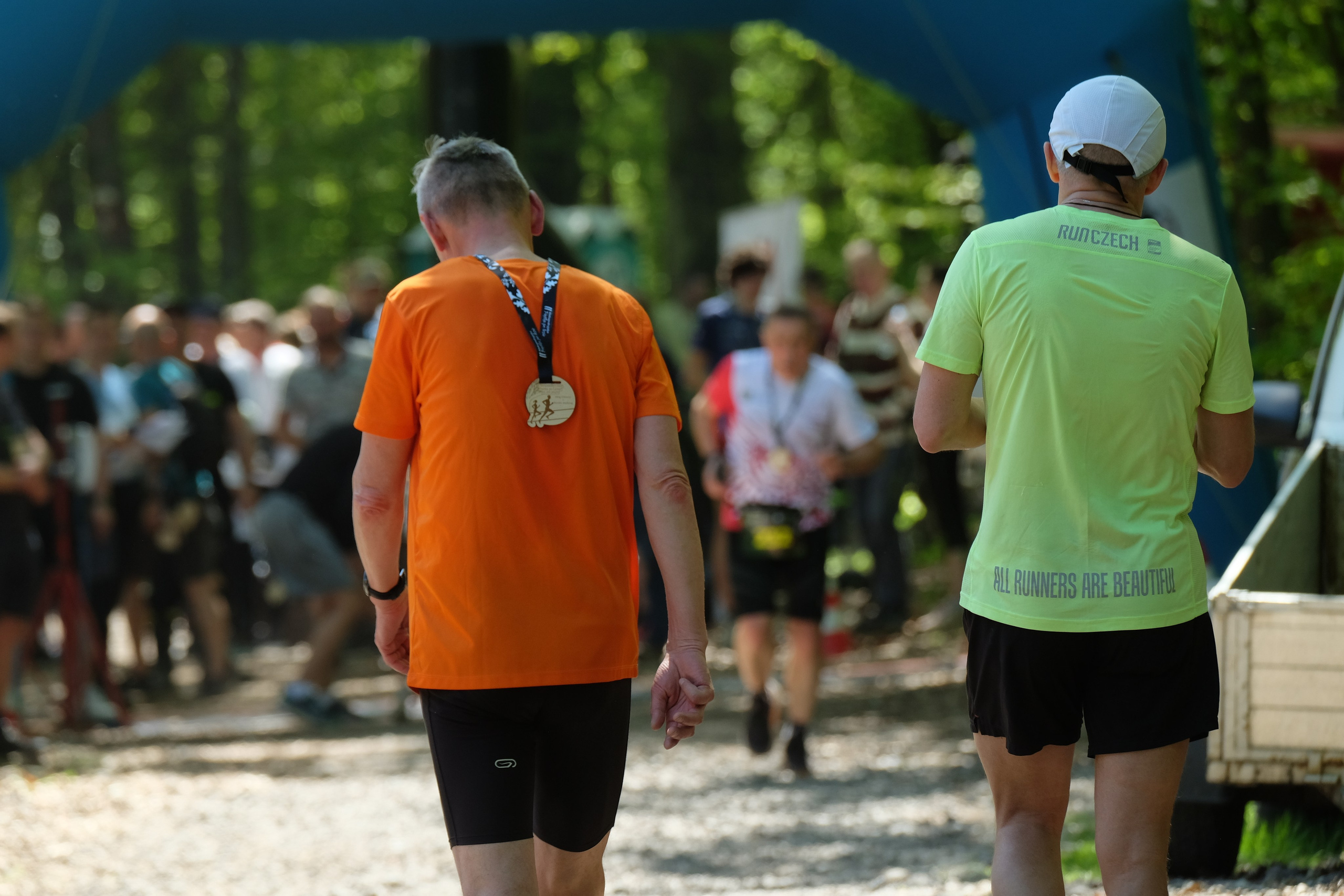 Aleksandryjska Piątka po lesie. Main