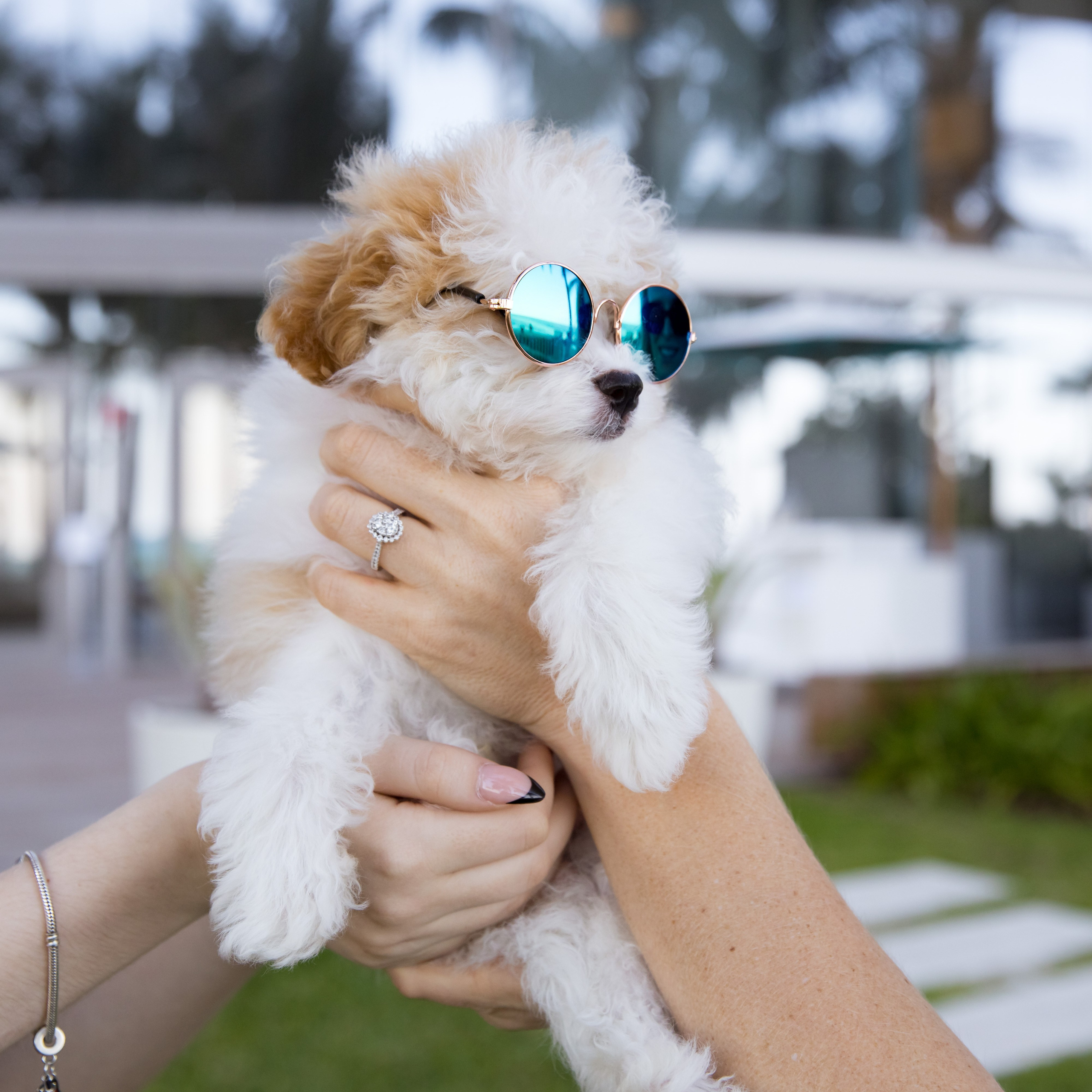 Product photography Miami. Miami Family and Event Photographer