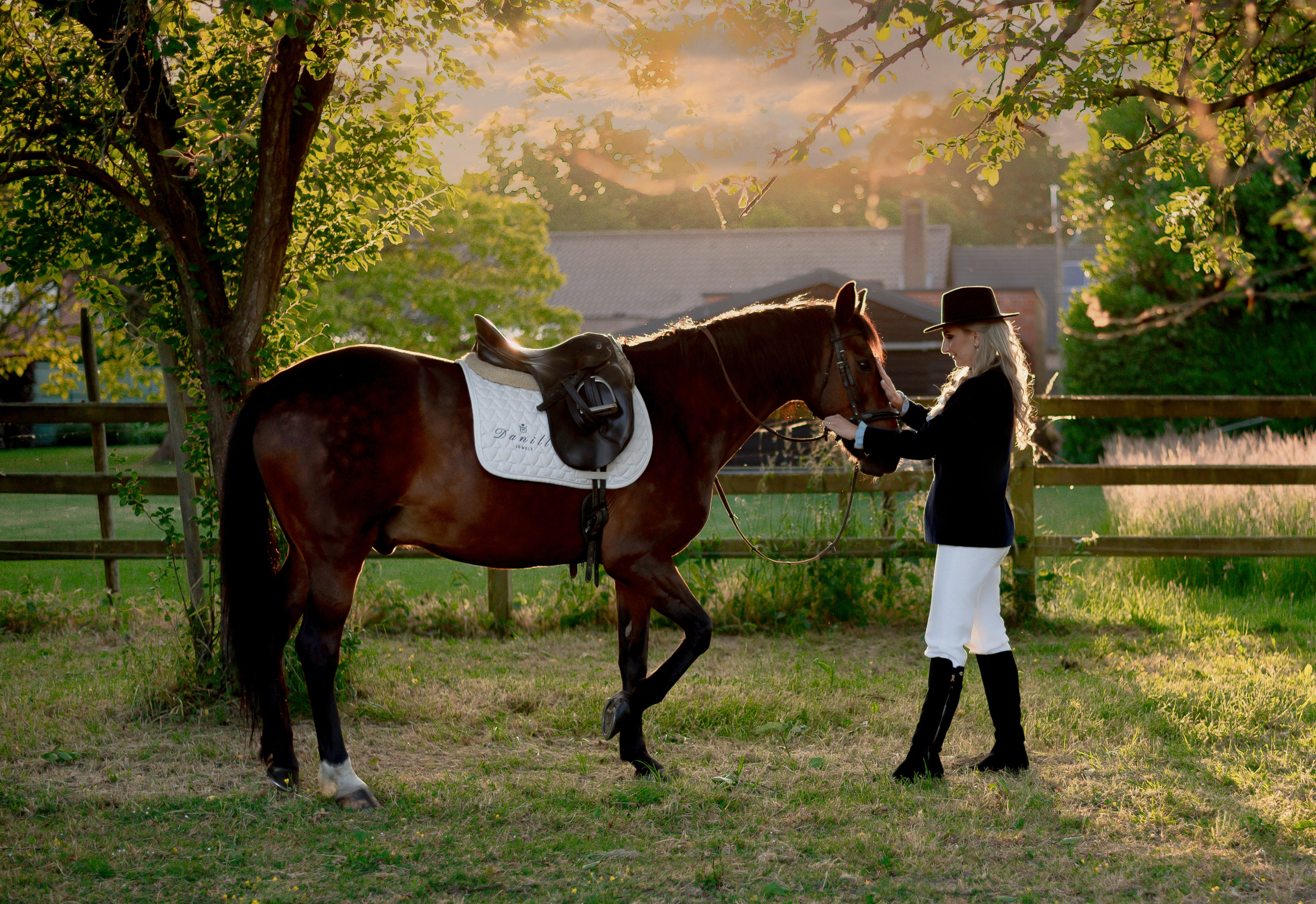 Photoshoot with Horses. Professional Photograher, Antwerpen/Belgium