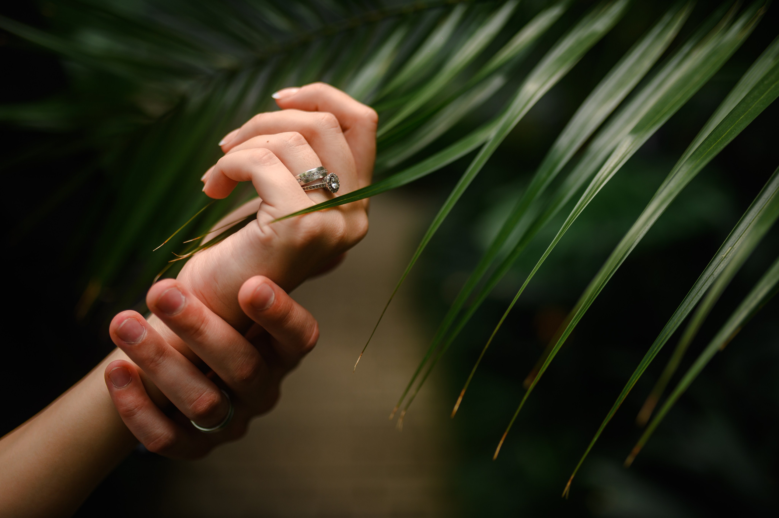 Petruț & Cristina | Trash The Dress. Erik Bagy | Fotograf de Nuntă