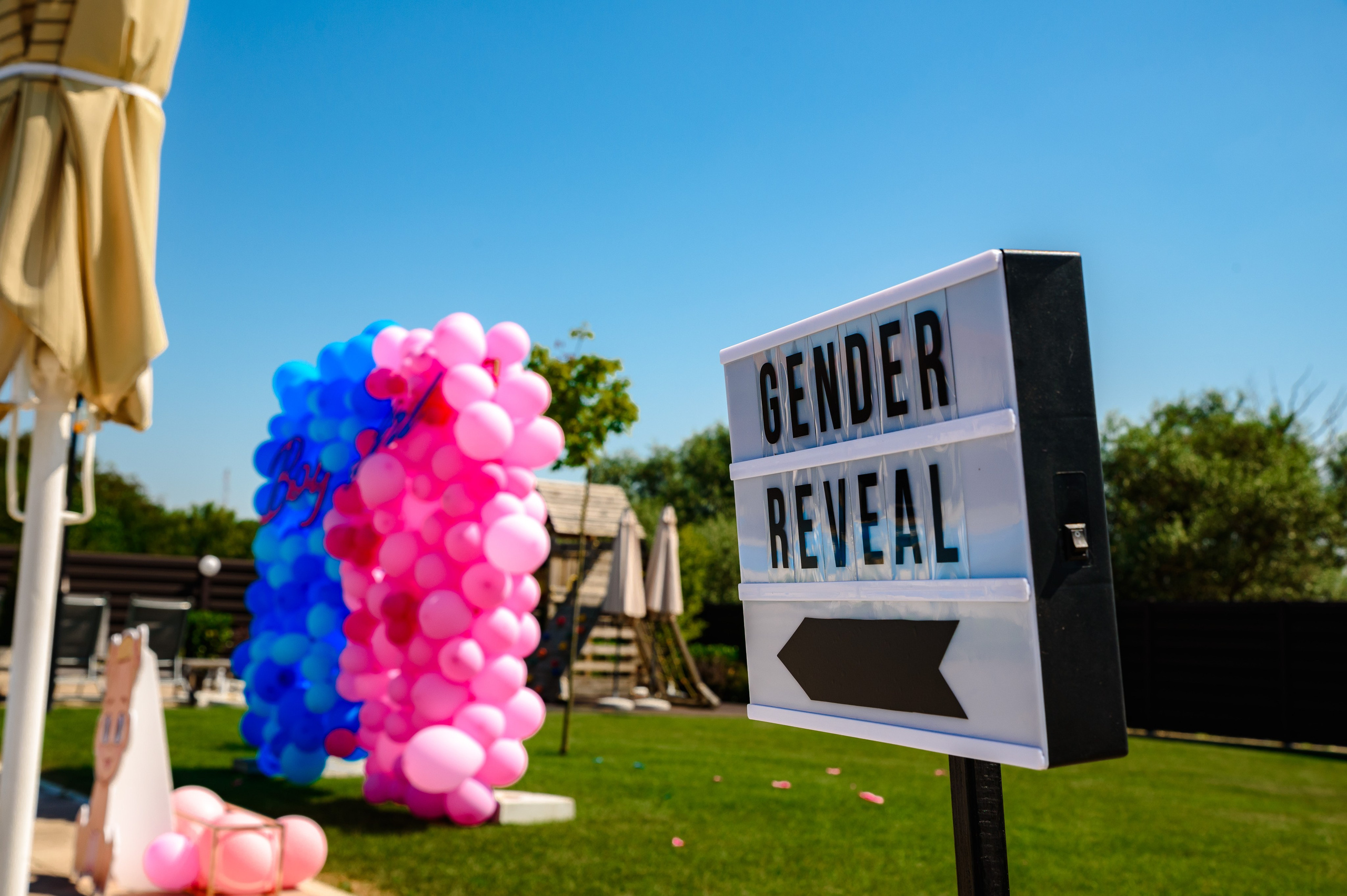 Octavian & Antonia. Erik Bagy | Fotograf de Nuntă