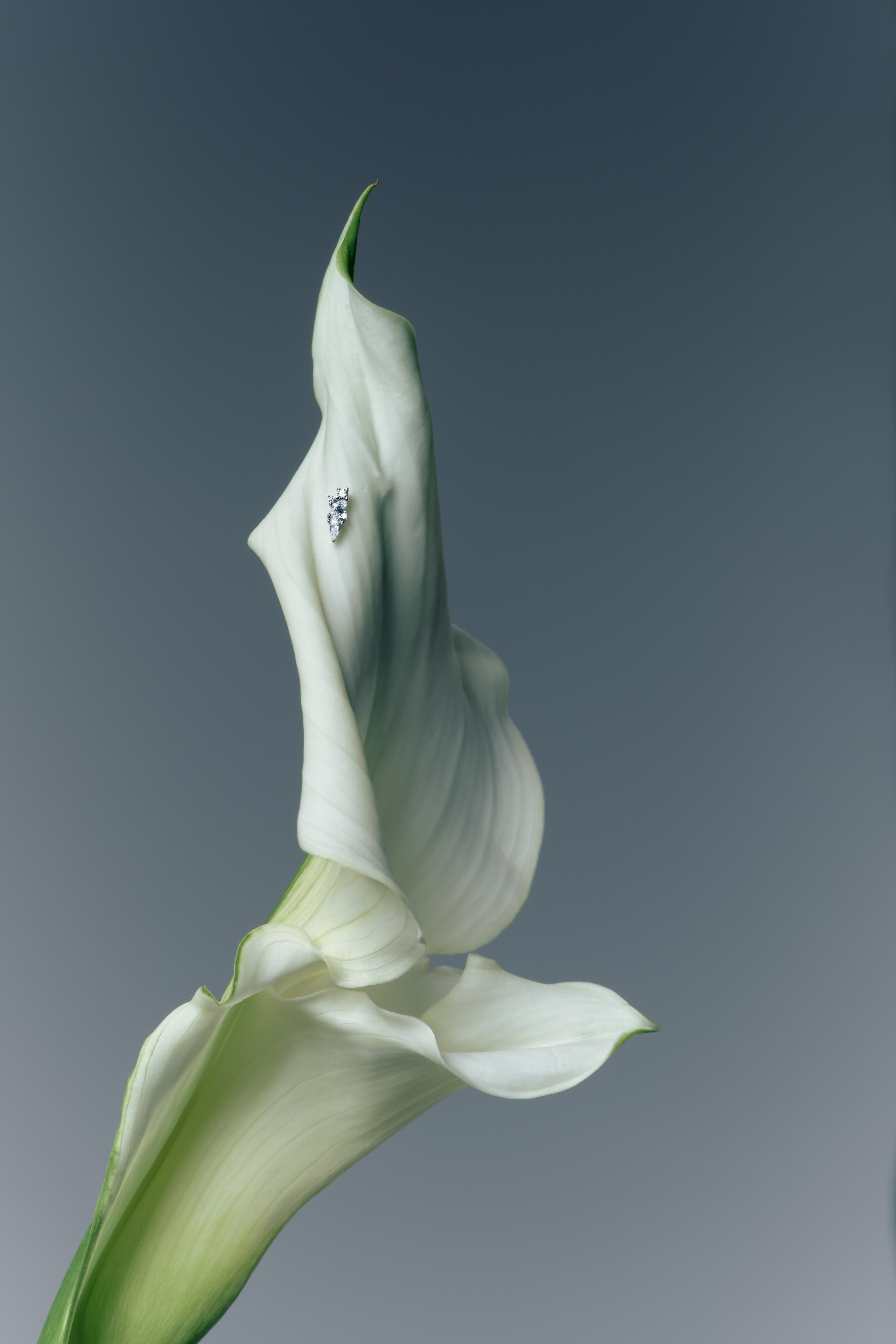 Fashion & Product. Photographer and videographer for business in Tbilisi Catrine Poznyak