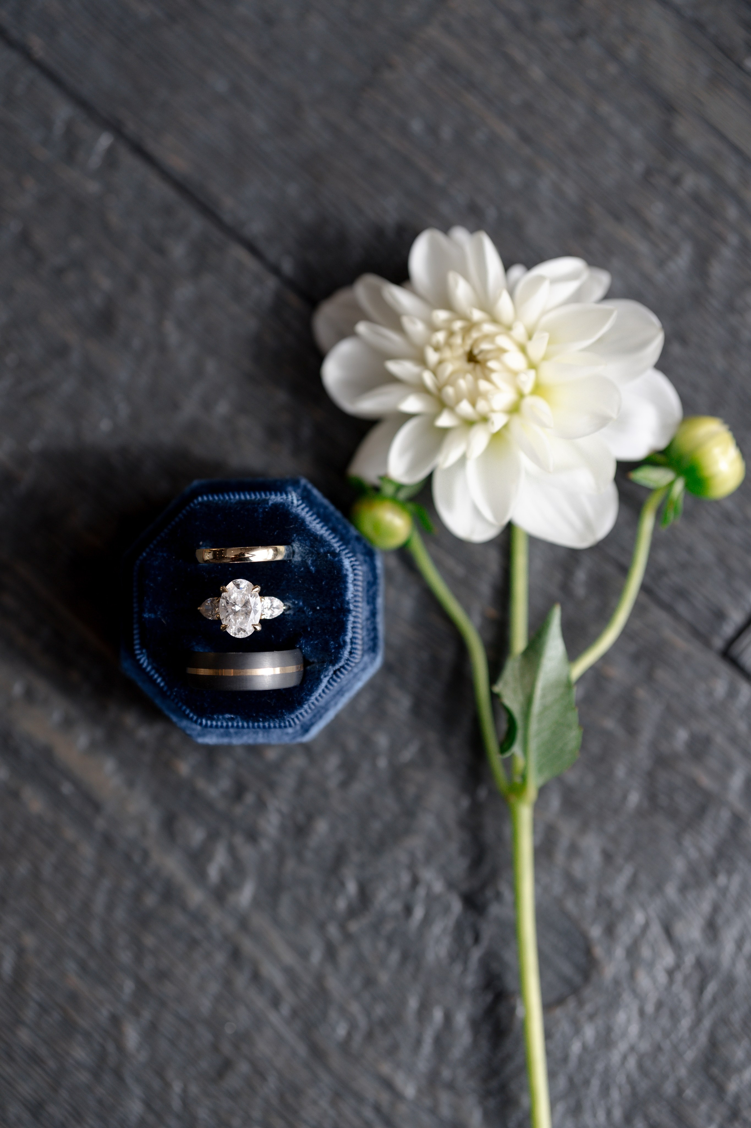 Leigh and Jennifer wedding day. Anna Krasnova Wedding photographer