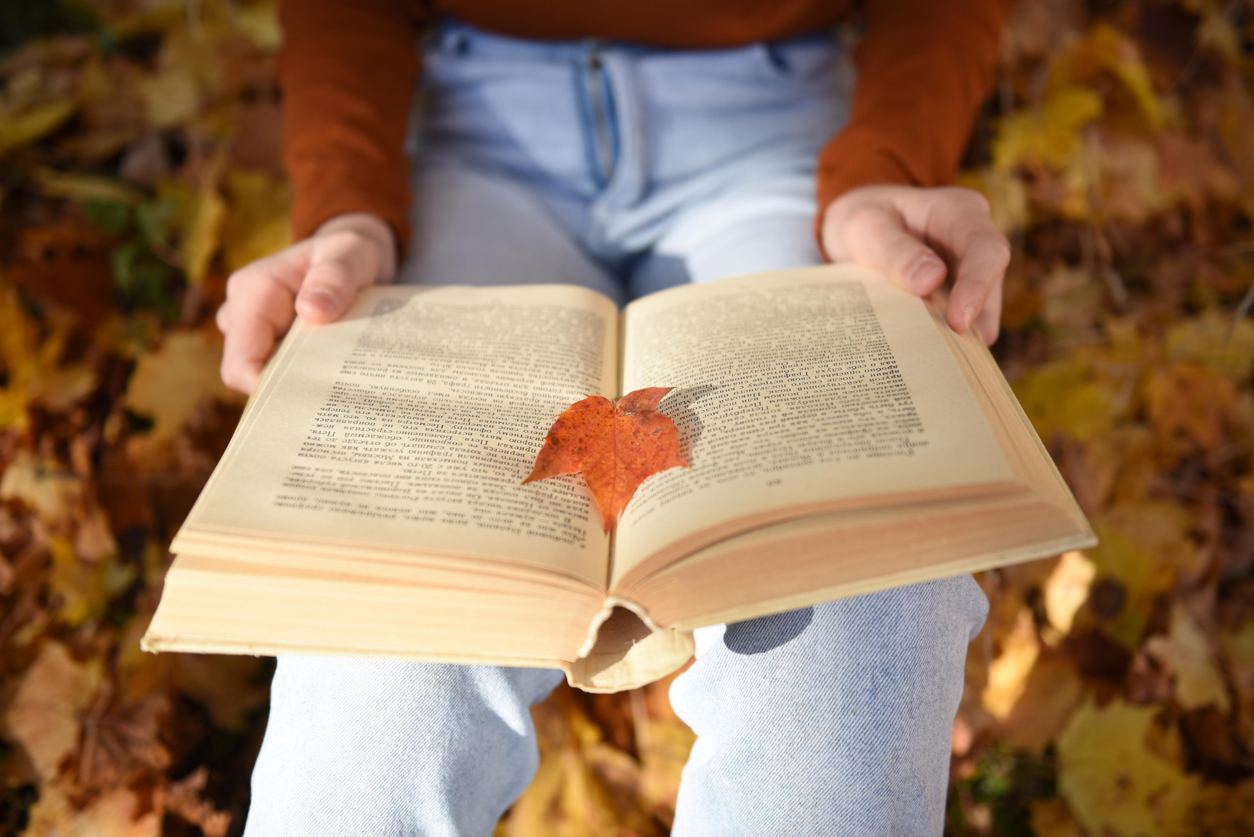 Herbst. Фотограф Елена Регер, Зиндельфинген