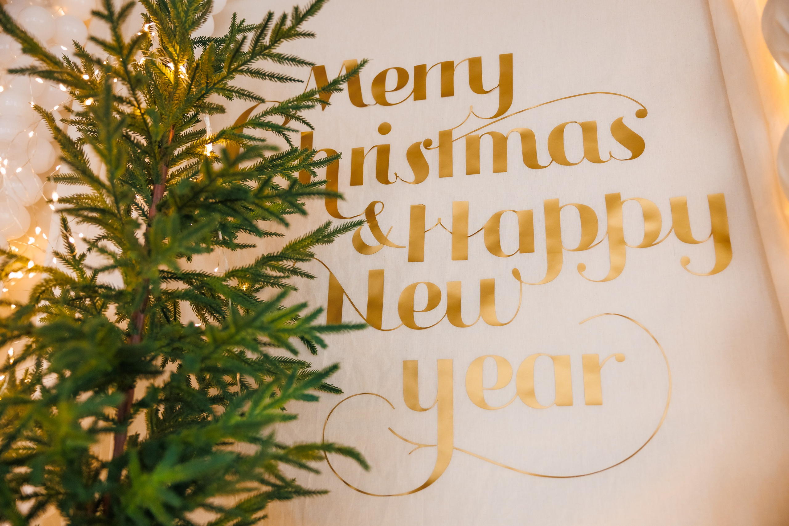 Коледа 2025 №2. Фотограф Ирина Йотова