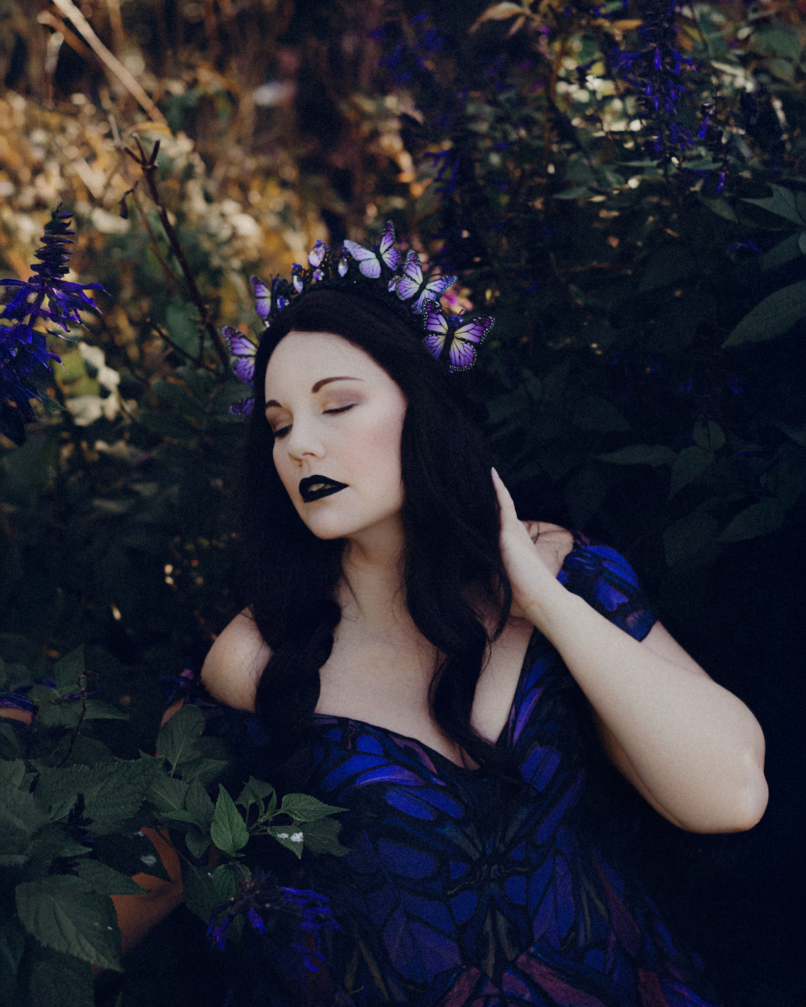 Butterfly purple fairy in a blooming garden. Moth & Moss Photography