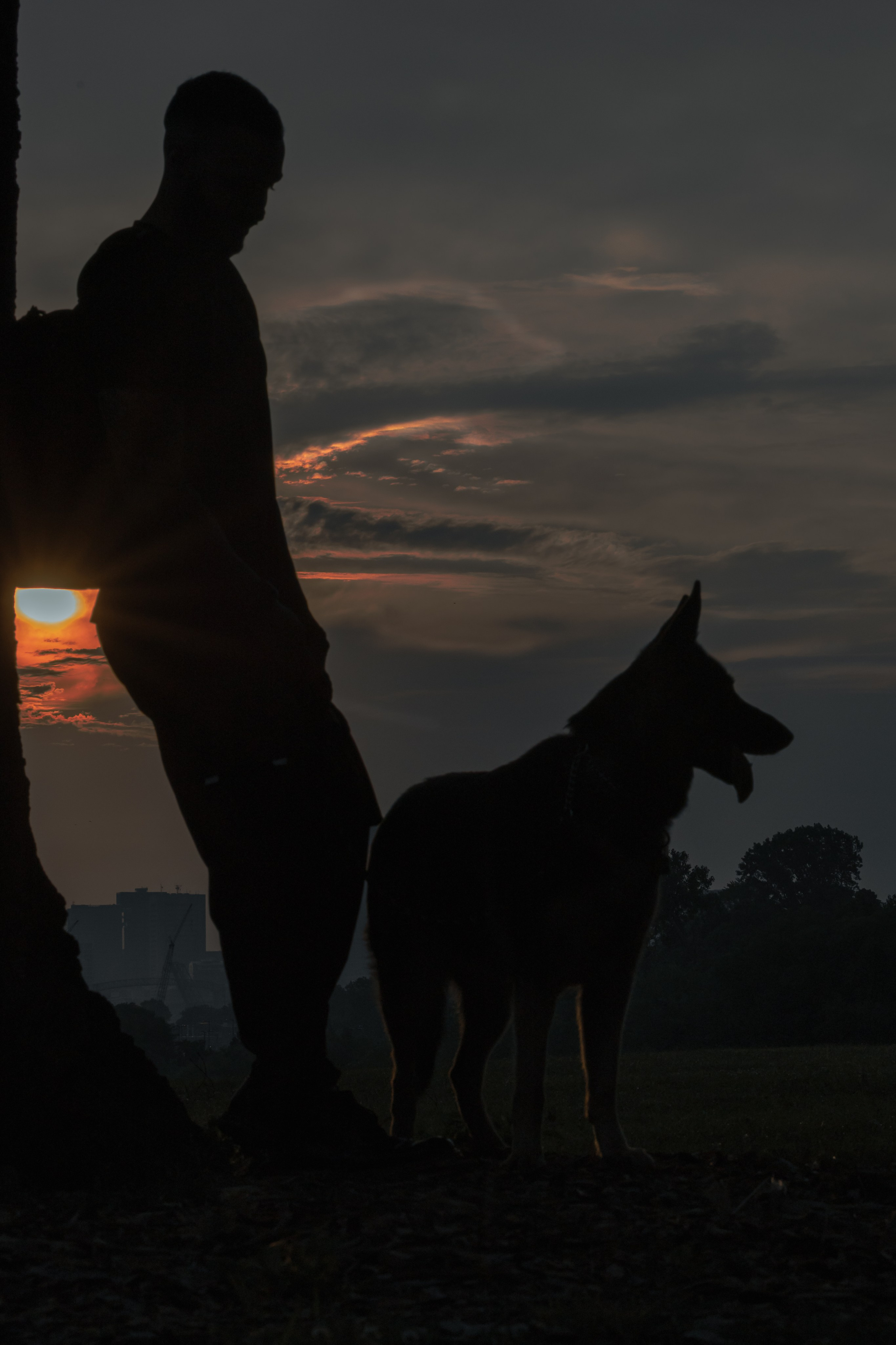 Frida & Frank. Pet Photographer Viktoriya Aleshenko