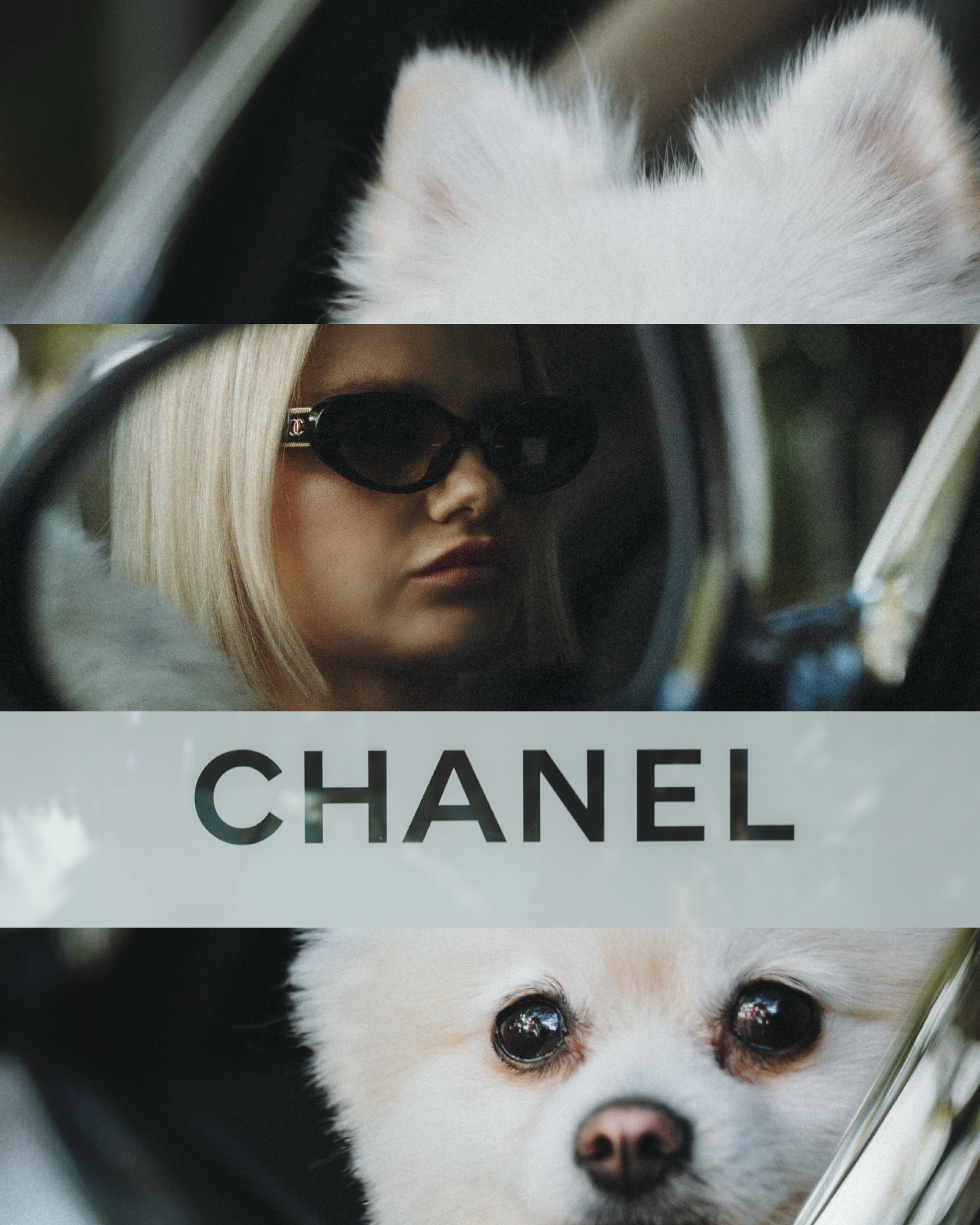 Lexy & Tatiana. Pet Photographer Viktoriya Aleshenko