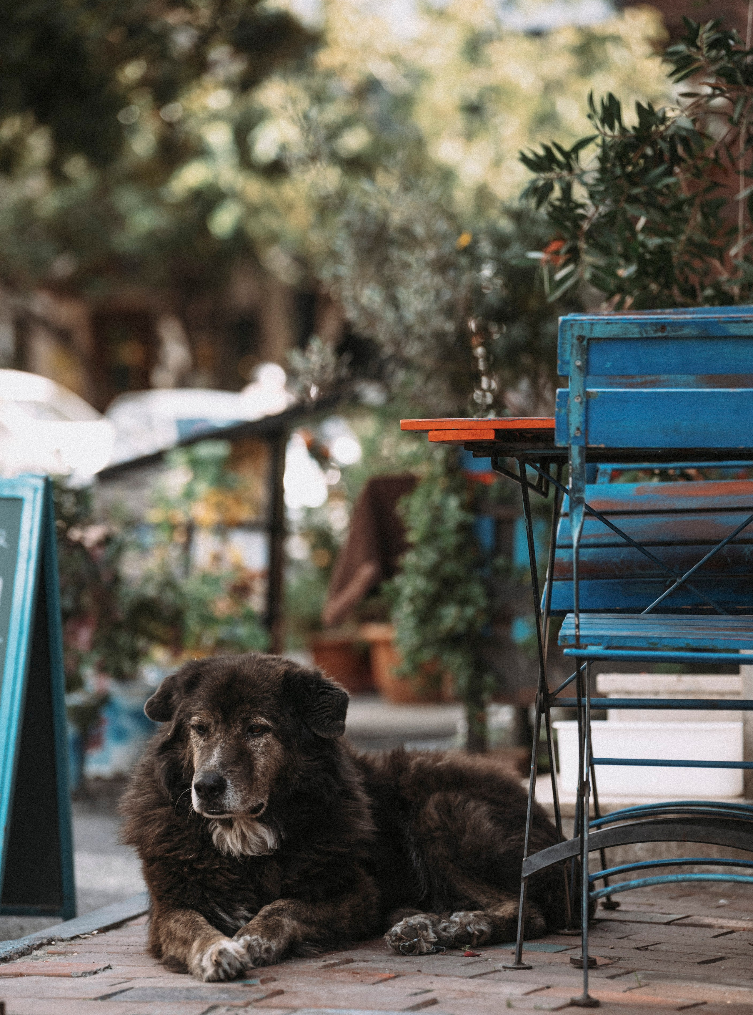 СТАМБУЛ. Стрит-фотография, полная абсурда, идиотизма и красоты