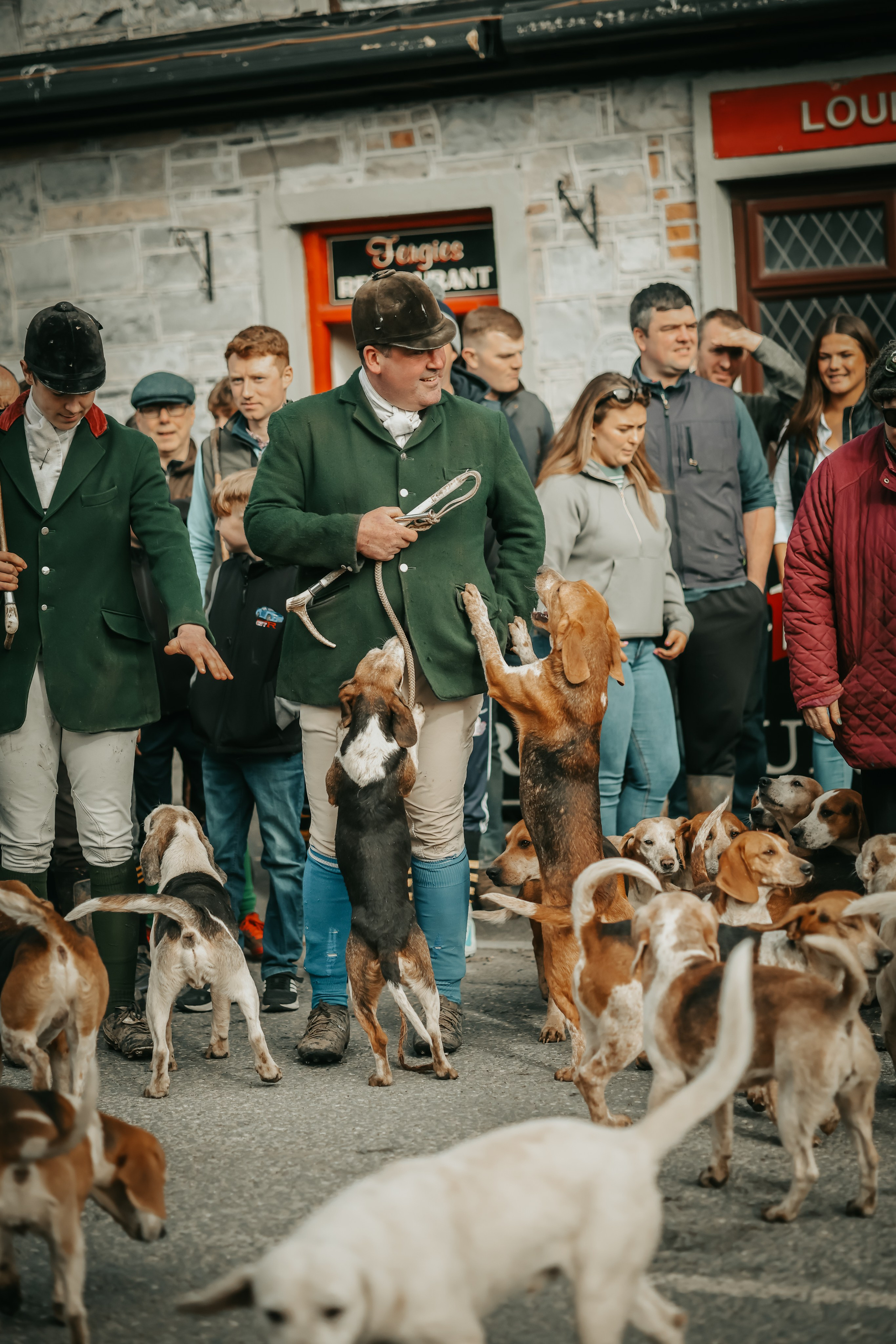 Hunting. Photographer Co Dublin, Balbriggan — Agata Maliseva