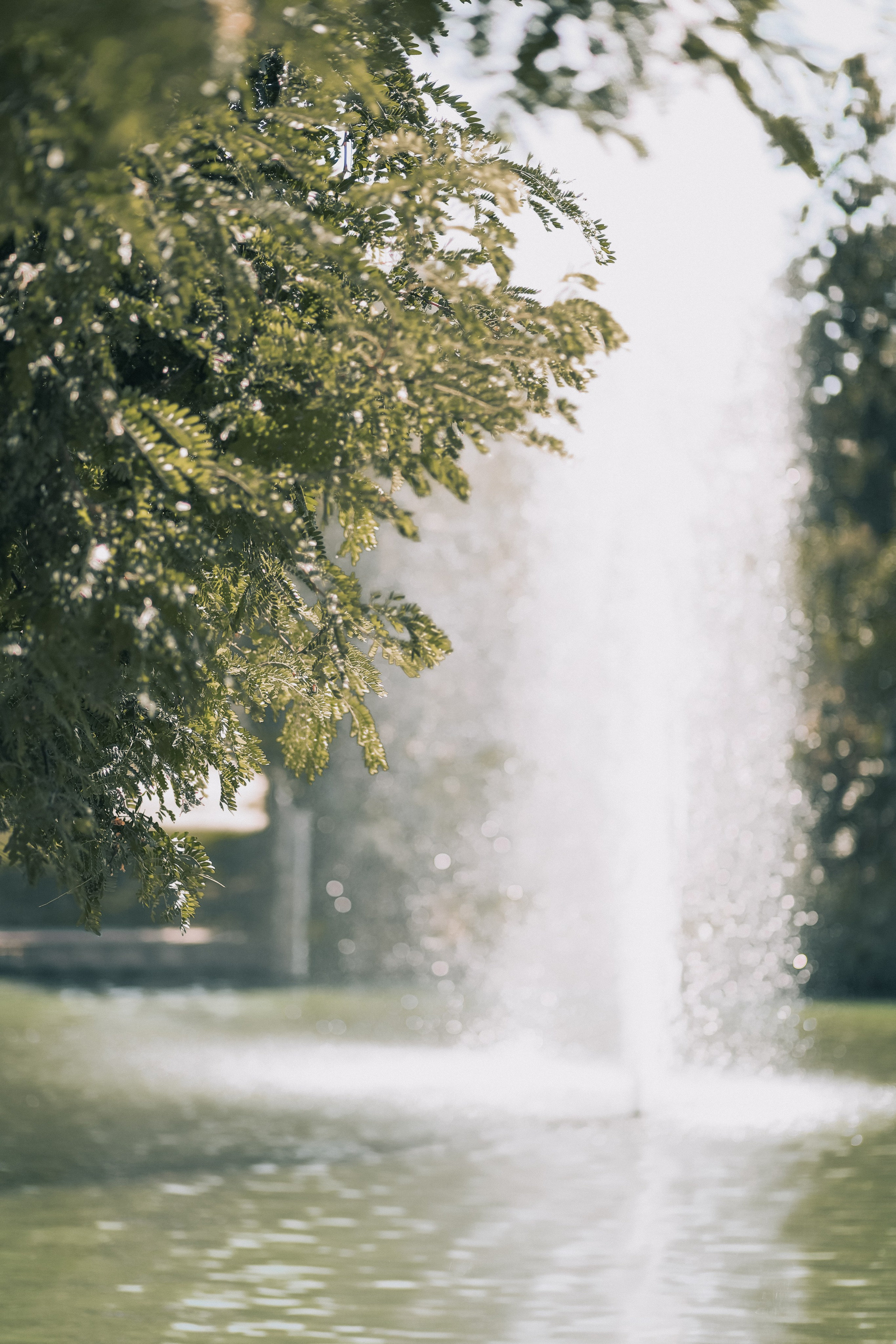 O + N + L + K + K + S. Photographer Inna Kalmykova