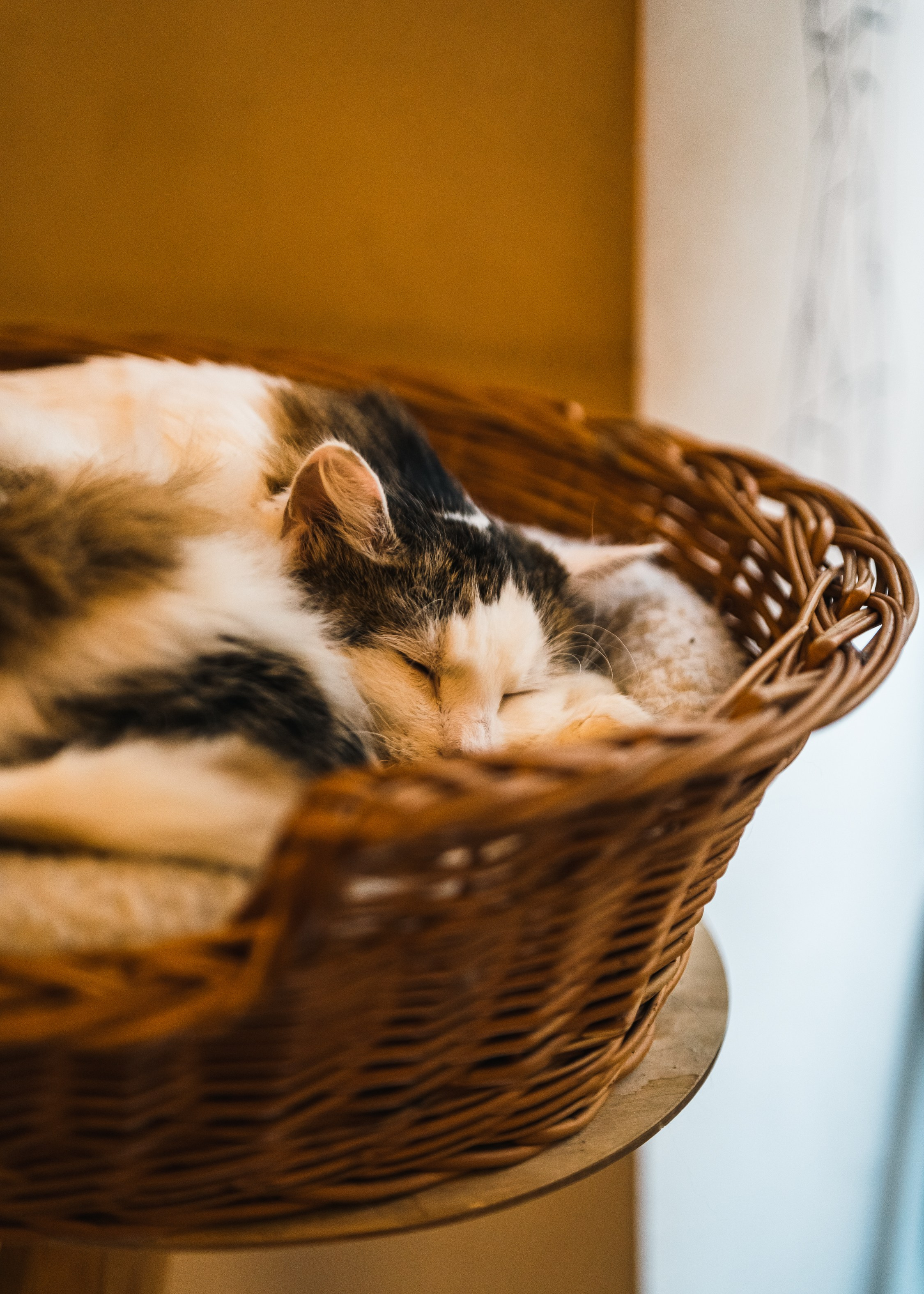 BUDAPEST. MA Visuals — Fotografia e Vídeo