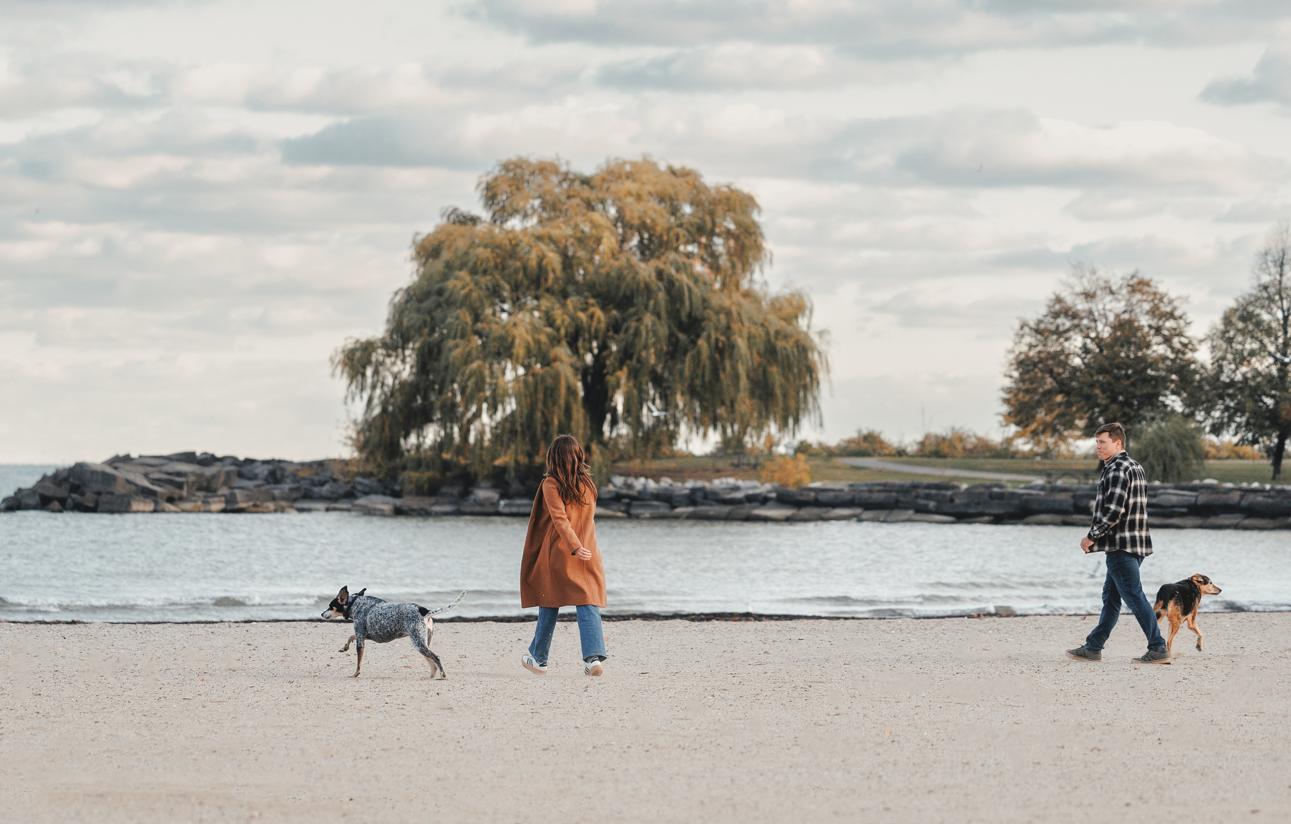 Racer & Delly. Pet Photographer Viktoriya Aleshenko