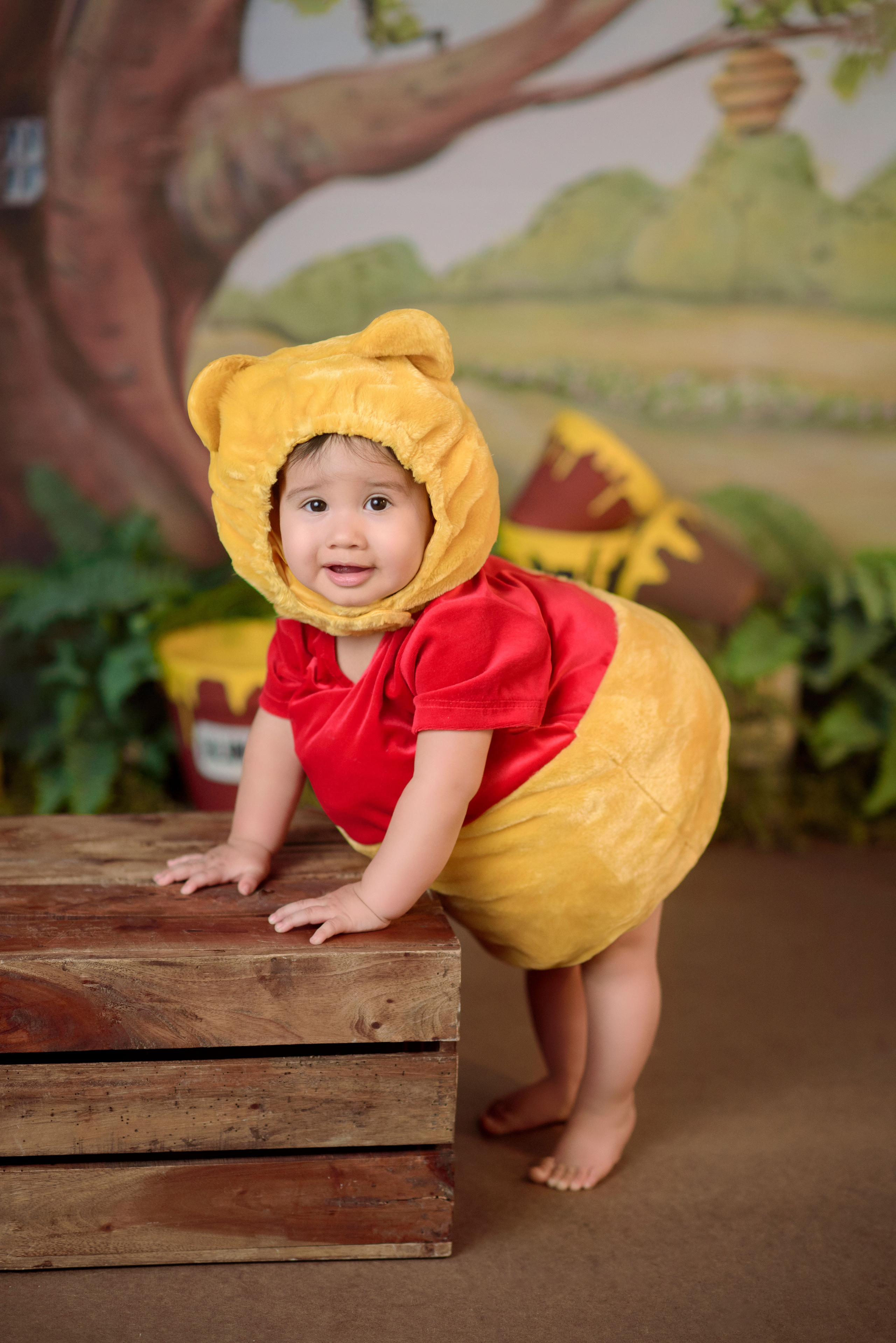 Winnie the pooh cake smash photographer Rocklin. Family photographer in Roseville, Rocklin, Folsom, Sacramento