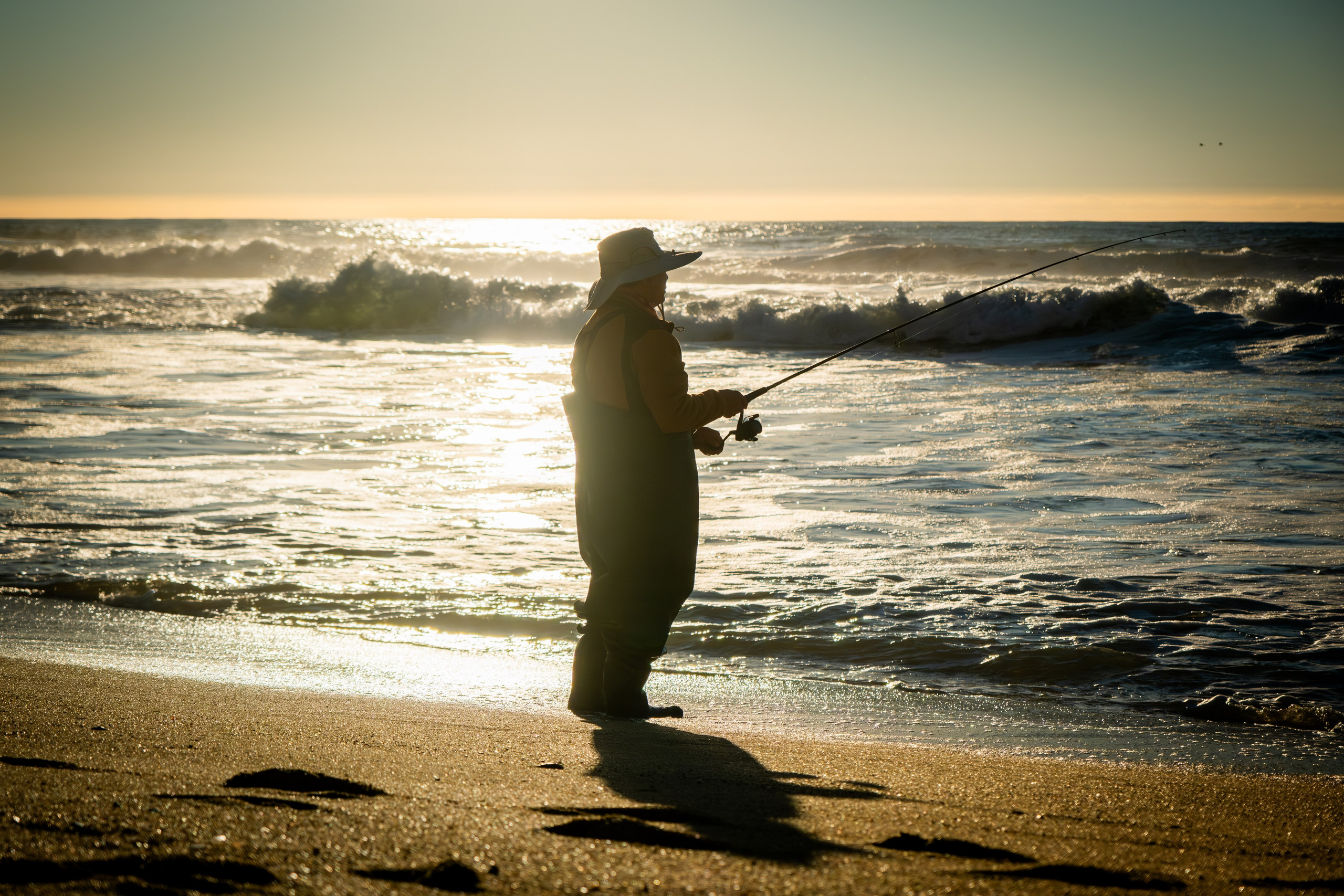 Reportage concert portrait photography in the San Francisco Bay Area