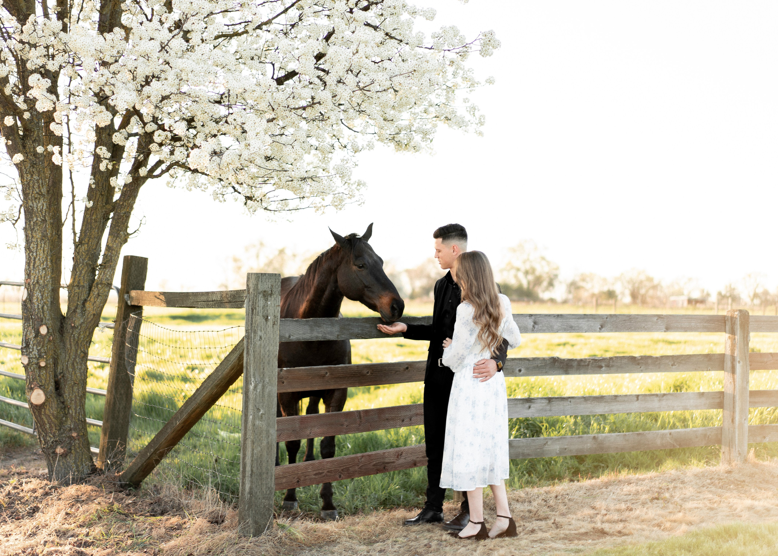 Artem & Lida. Family photographer in Sacramento | Sofia Pavenko