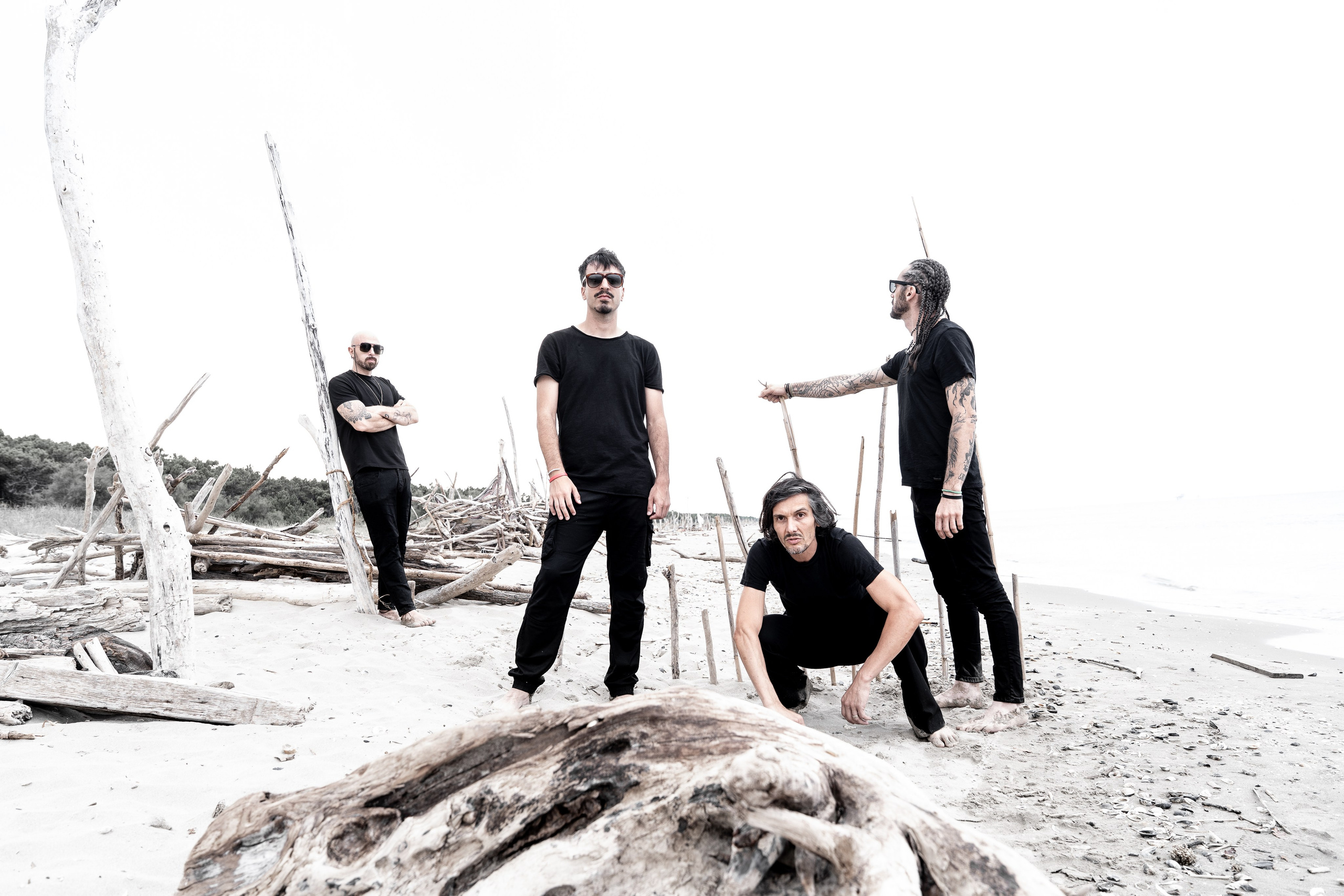 Blastema. Fotografia e video