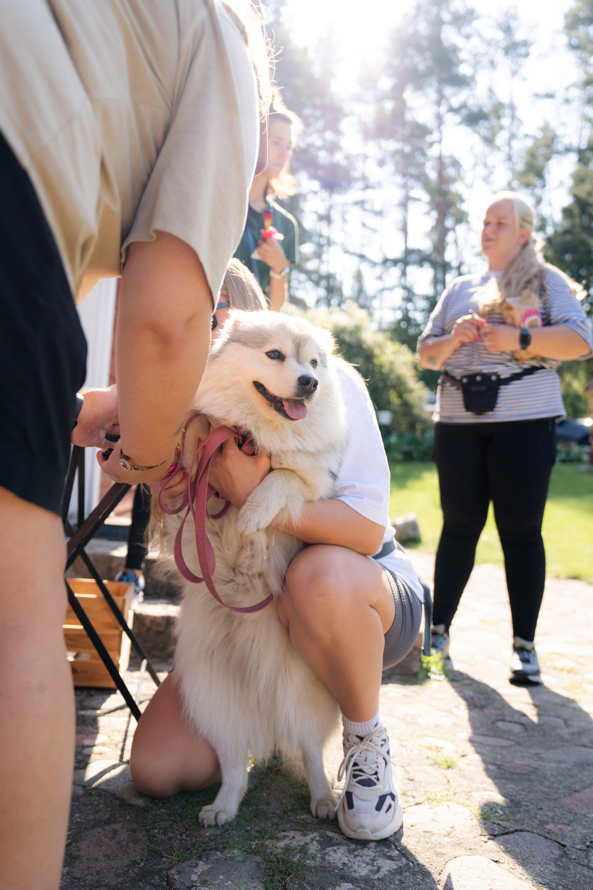 Heppi Dogo fest 2025. Vita Klimaševska ○ Fluffy Soulmate Photography