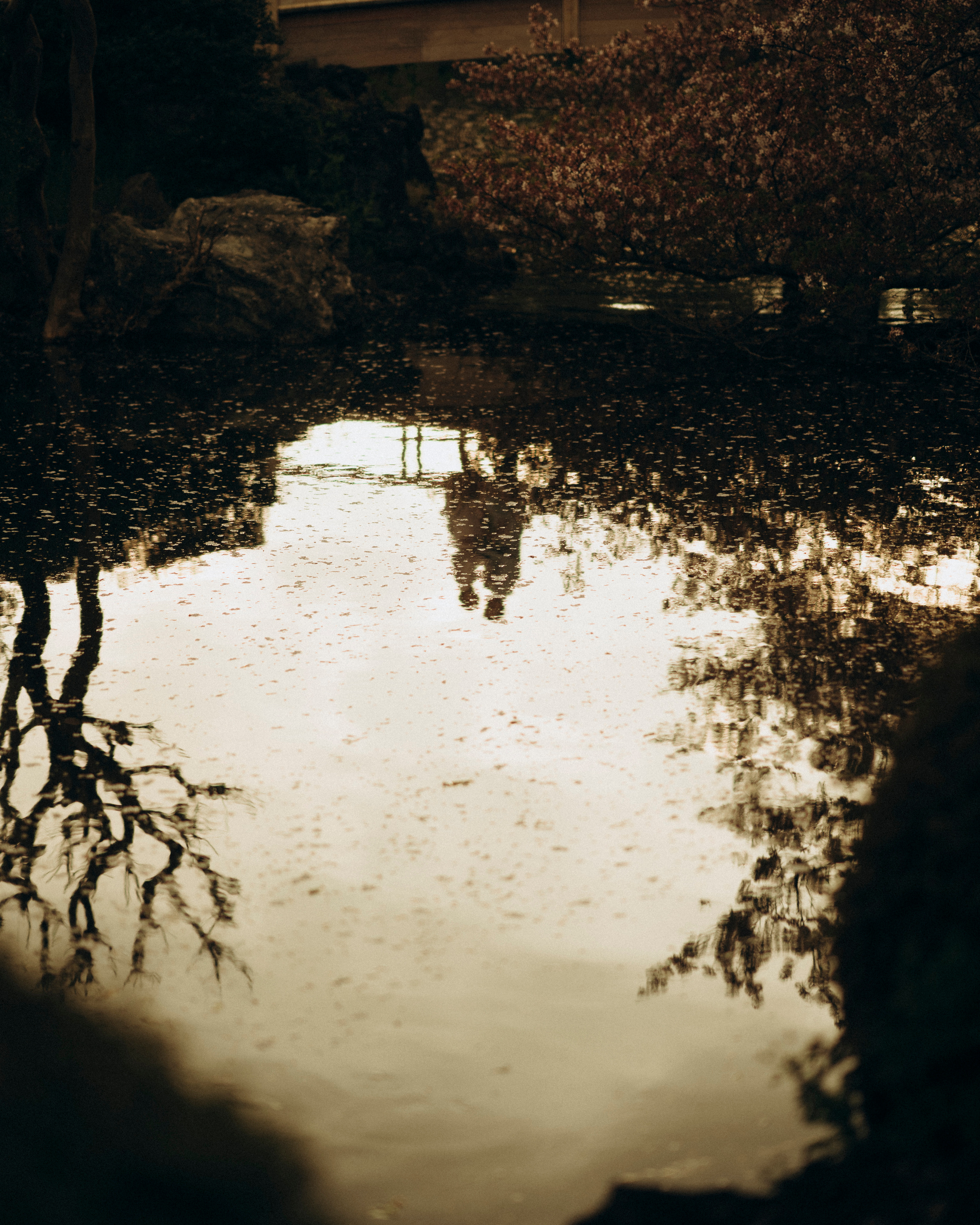 Love Story. Portrait photographer in Barcelona