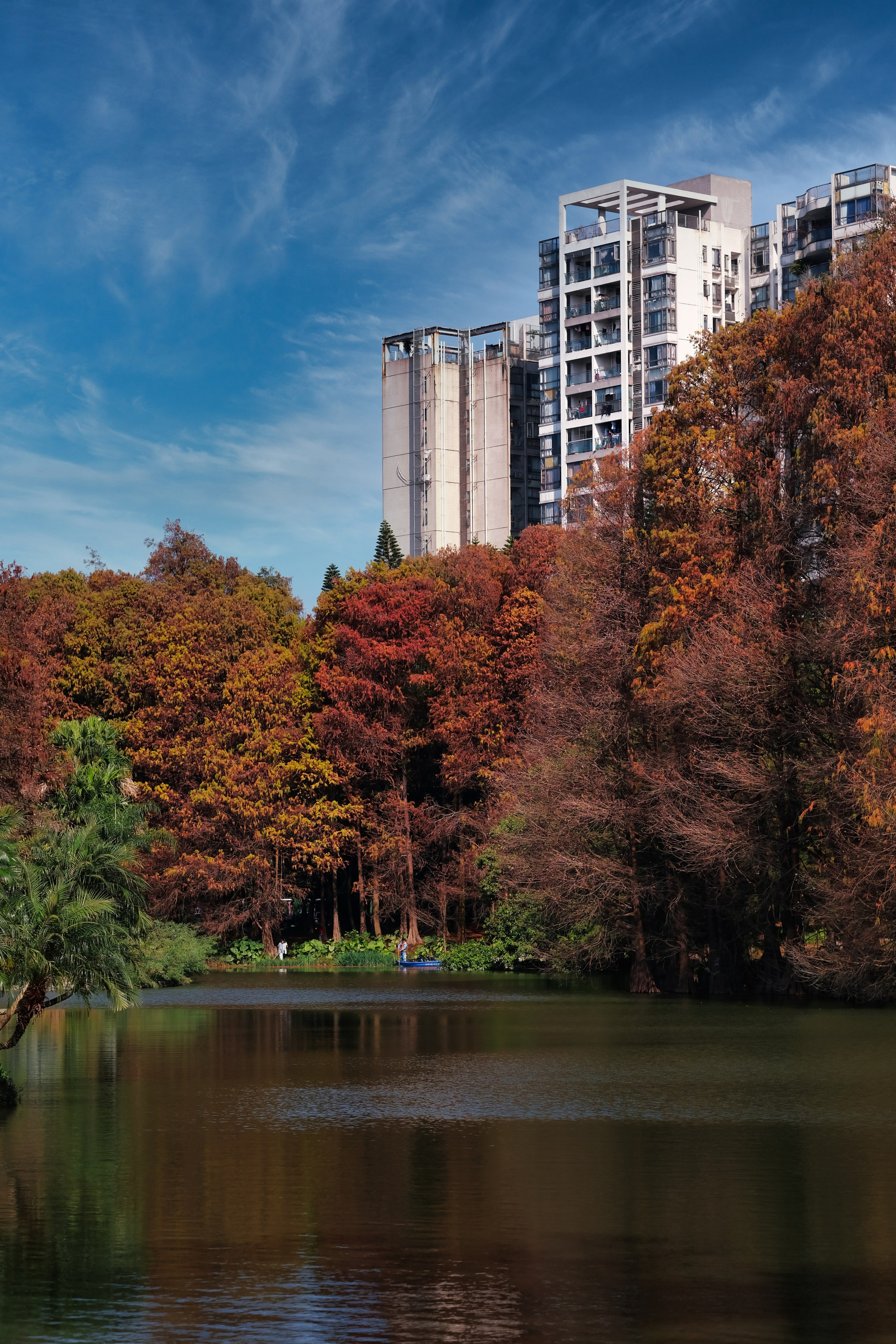 华南国家植物园 🇨🇳 | 广州塔 | South Botanical Garden 🪴 Guangzhou 
