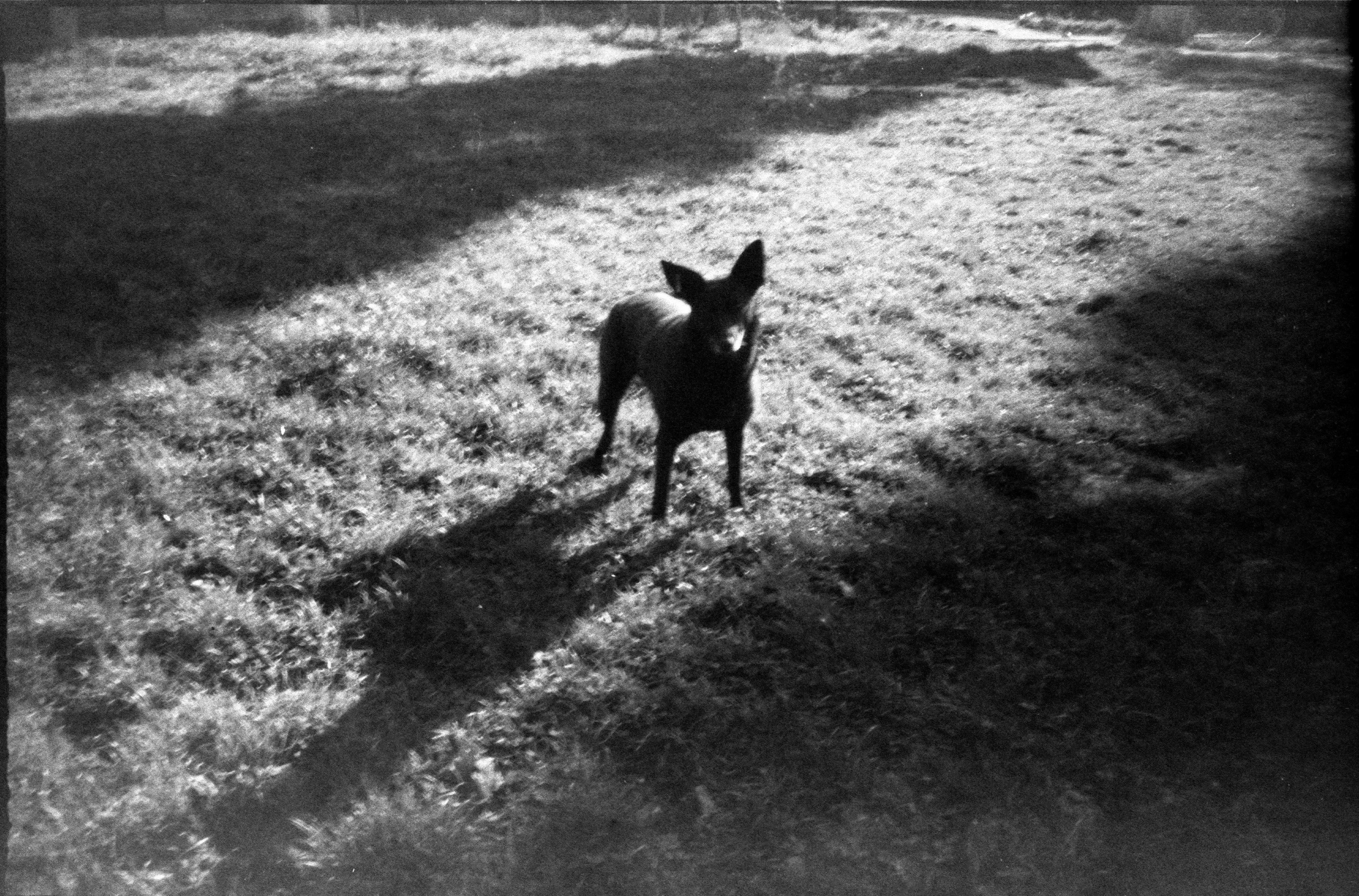 Silent light. Natalia Parfenova visual artist film photographer