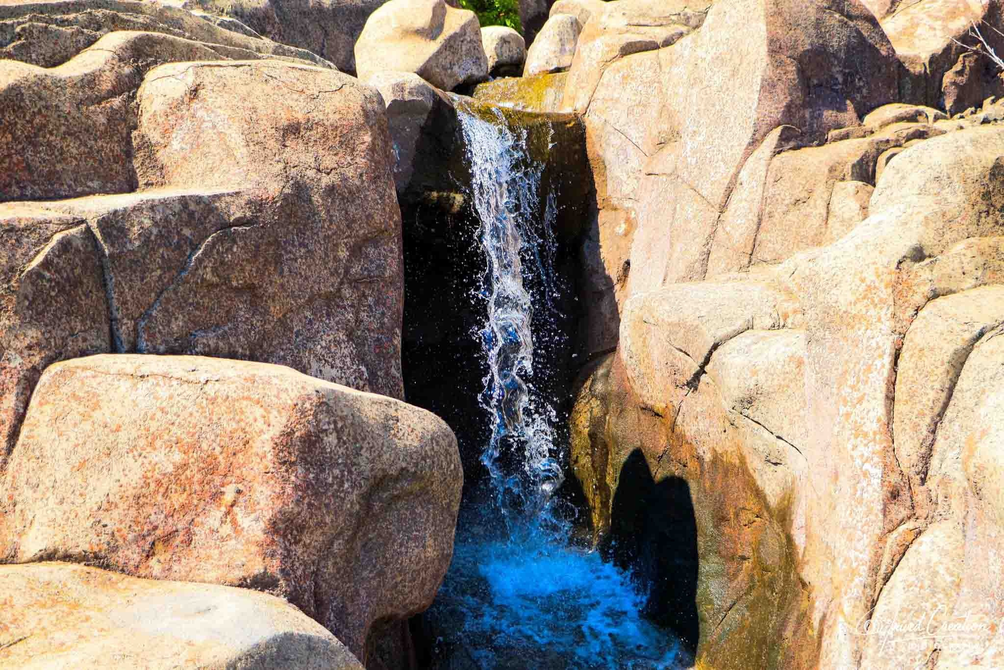 Landscape & Nature. Prived Creation