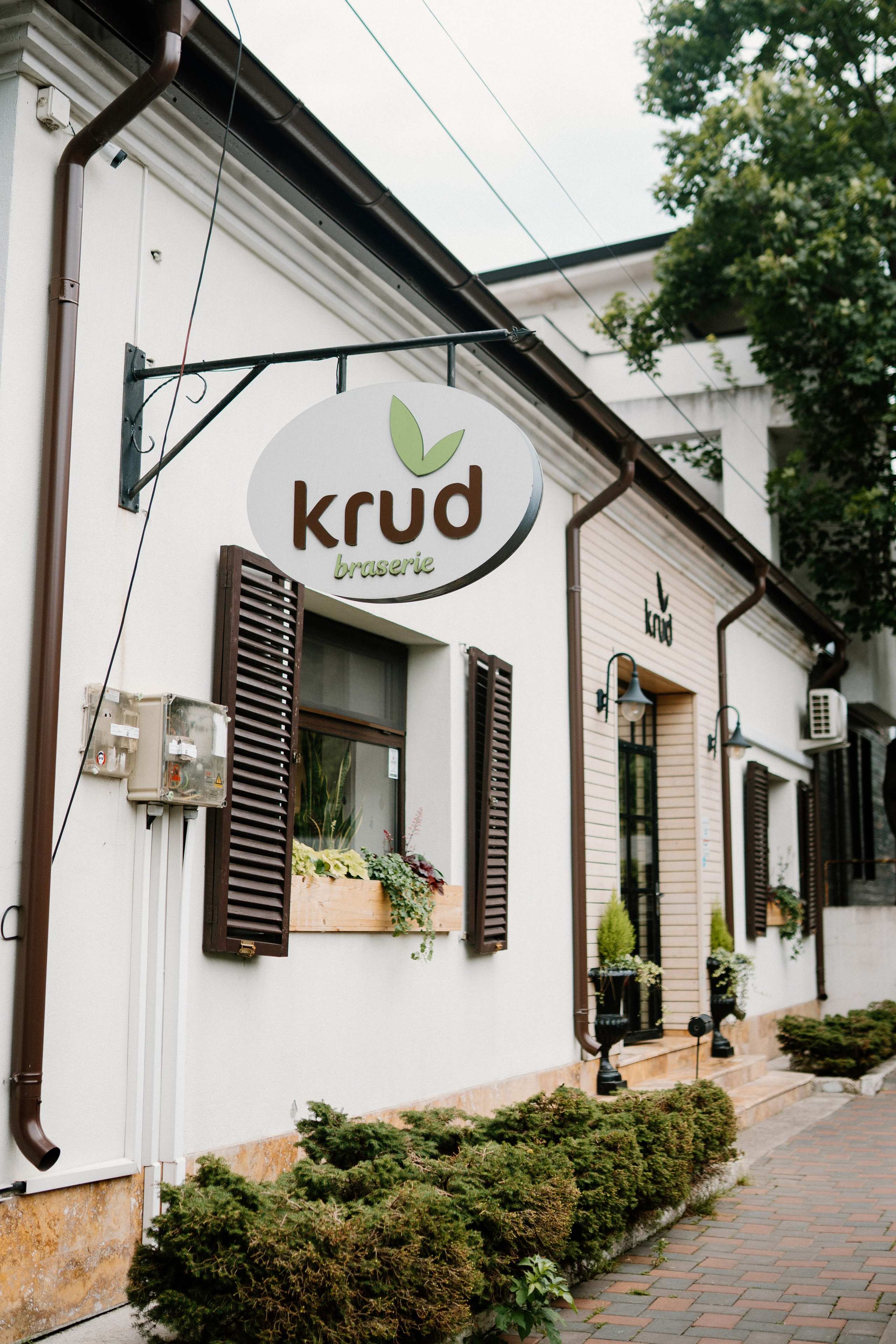 Baby Iris. Gabrielacojocariu.com