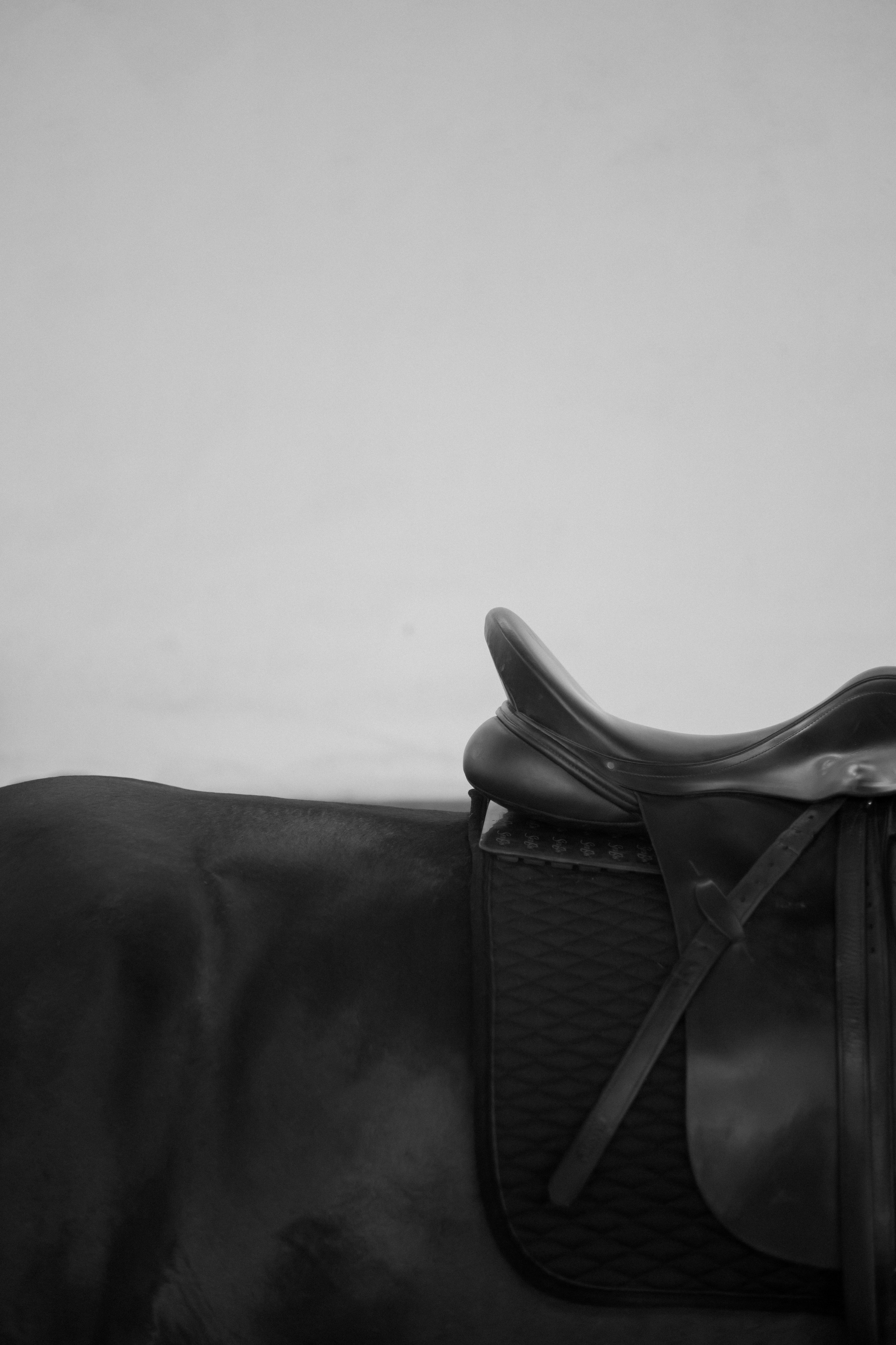 Diana. Daria Sazanova — Portrait photographer in Bratislava and Vienna