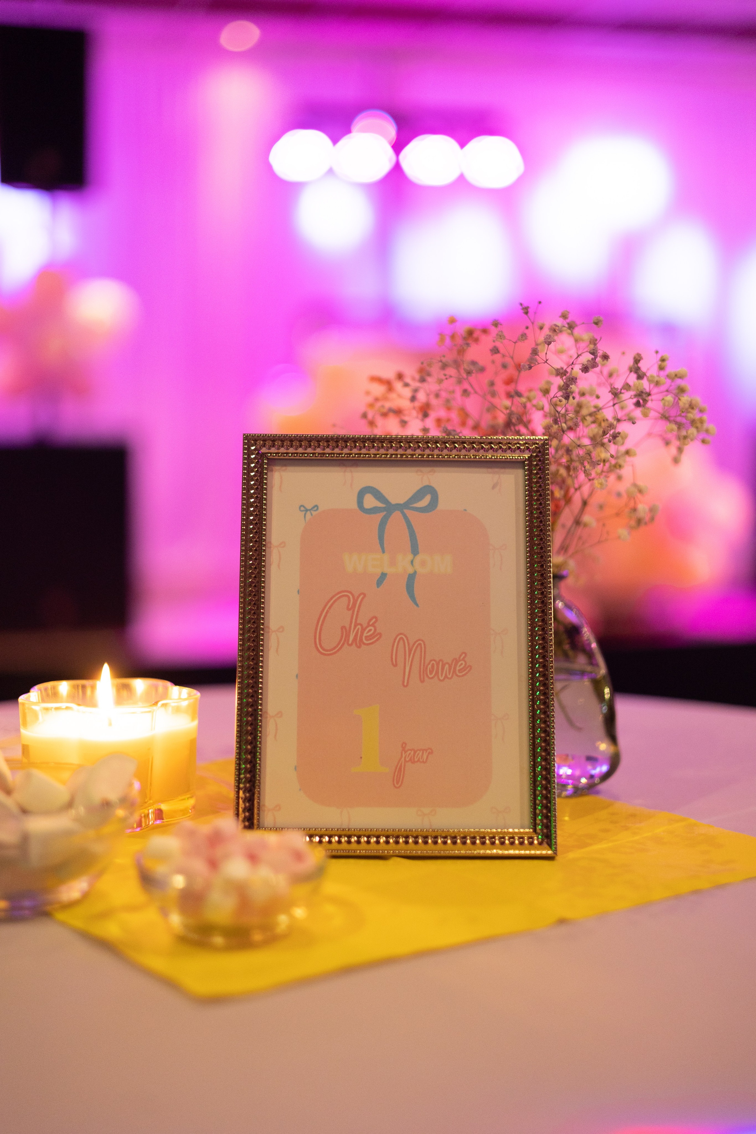 1 st Birthday. Portrait and Family Photographer in Netherlands