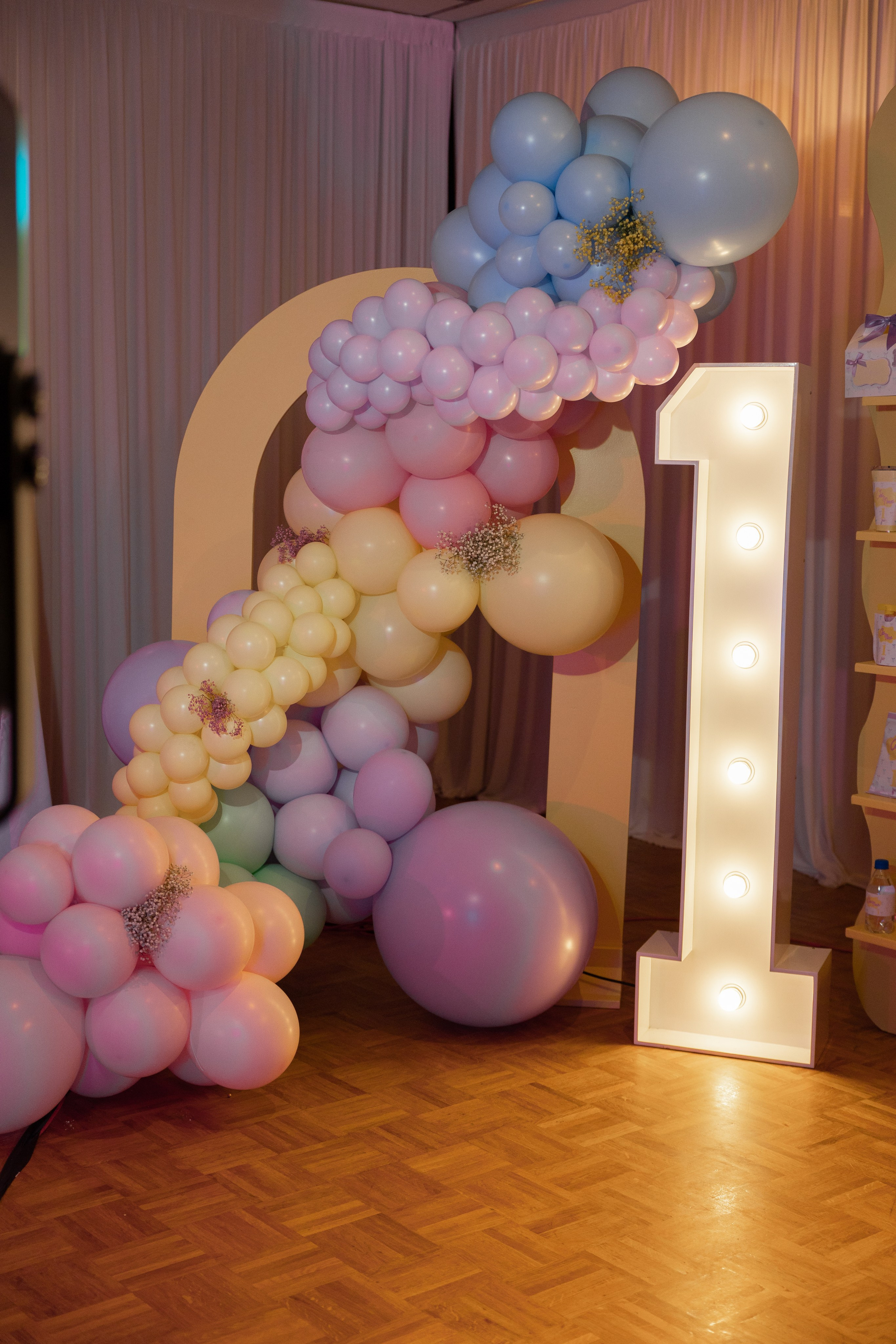 1 st Birthday. Portrait and Family Photographer in Netherlands