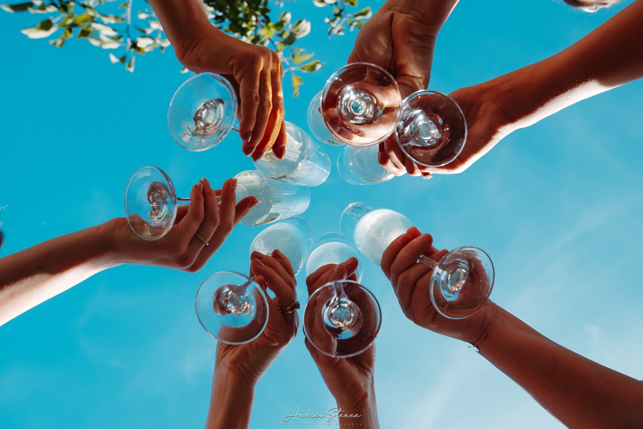 Portofolio. Andrei Stanea