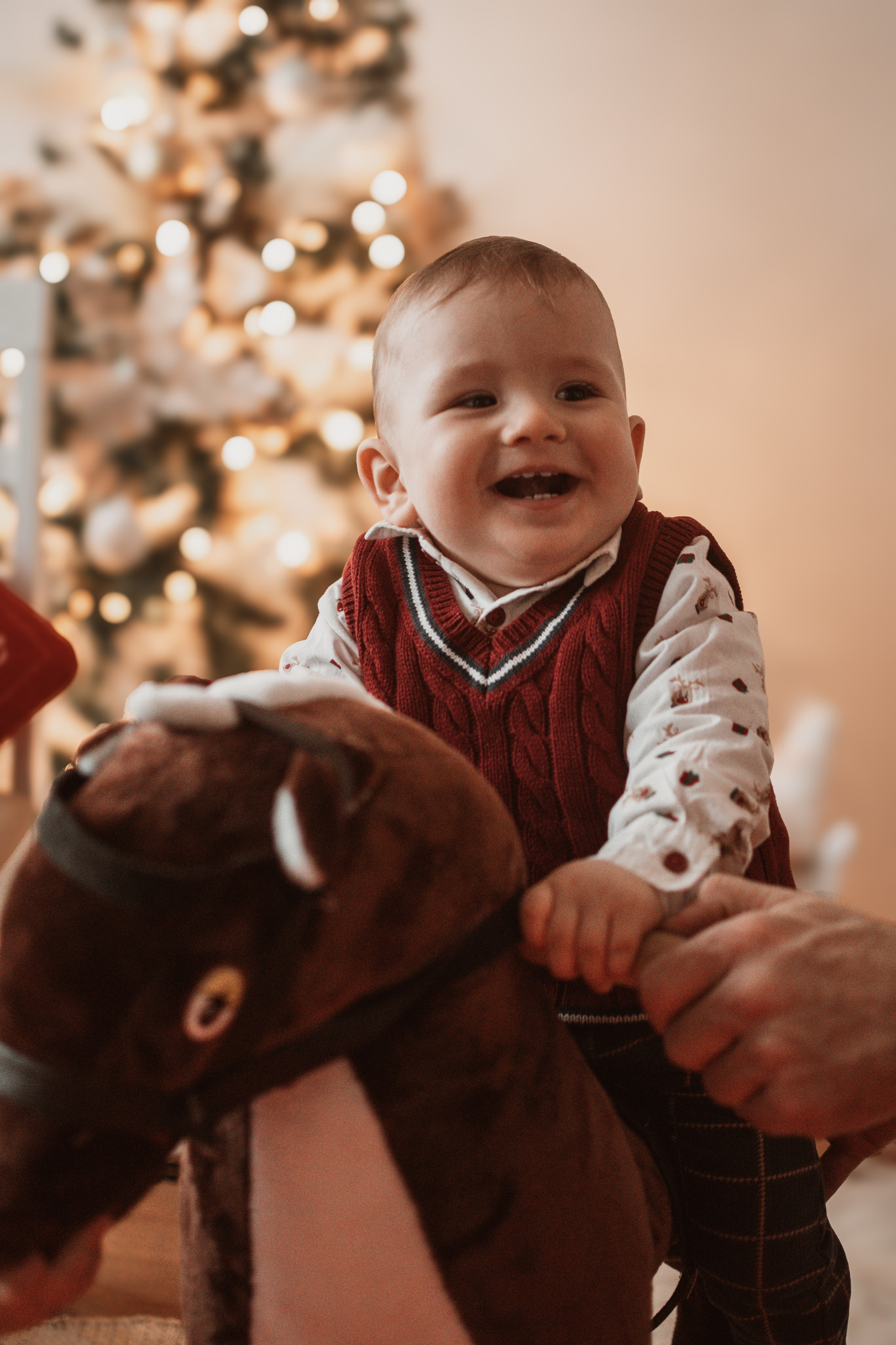 Nevena & Aleksandar, Porodično fotografisanje. BambinaaPhotography