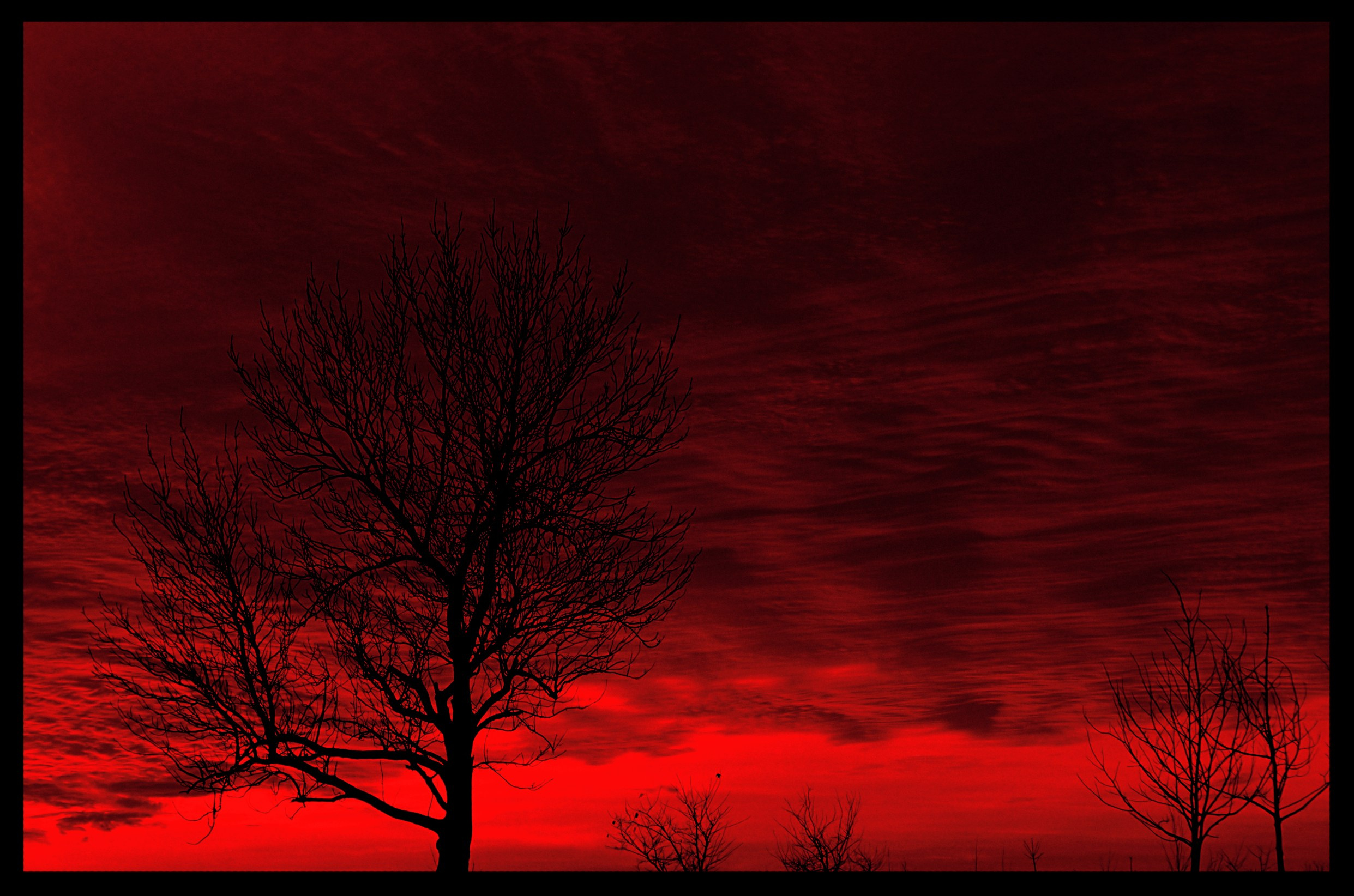 Природа Южноукраинск