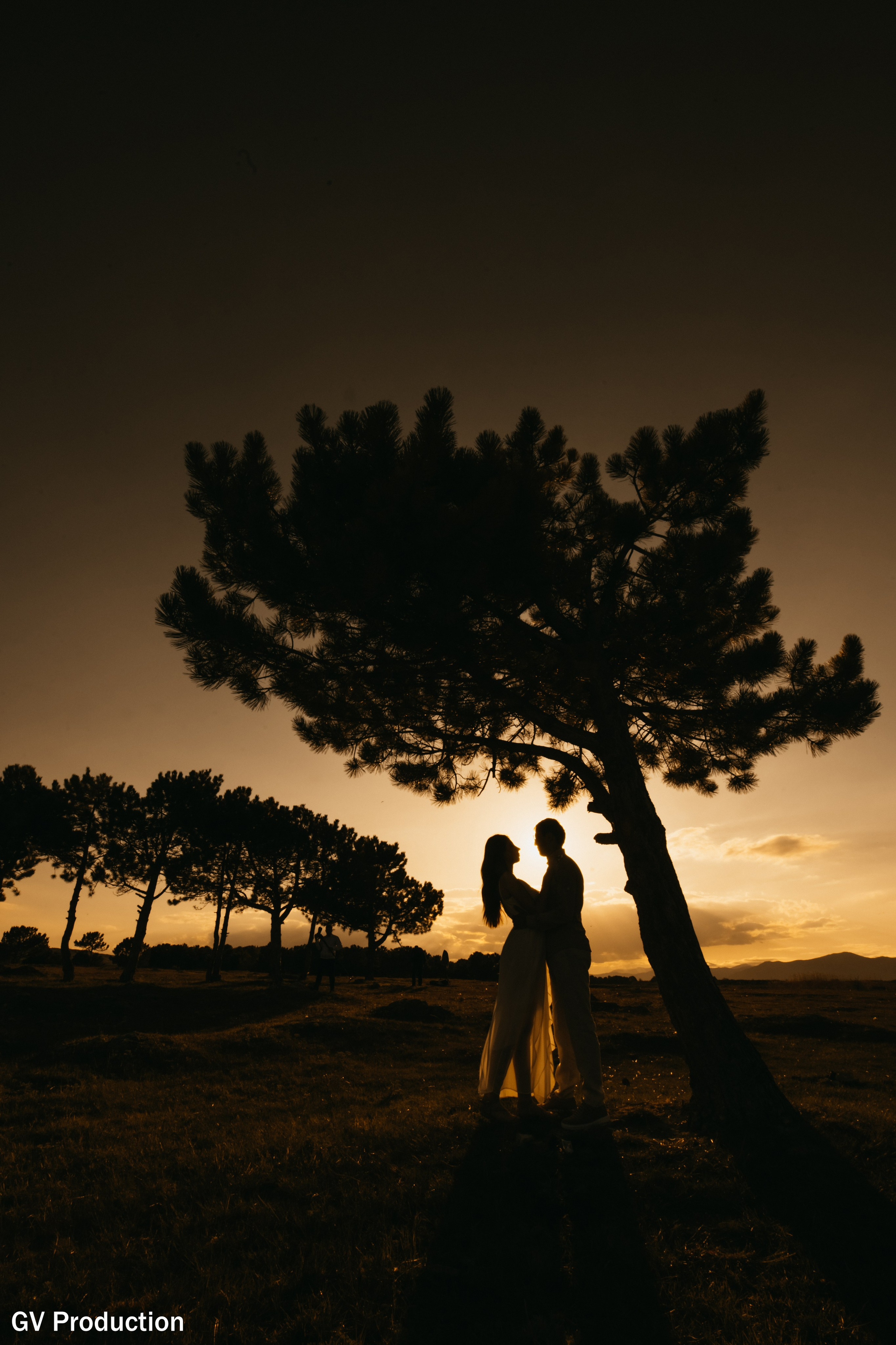 Arthur & Narine (pre Wedding). Wedding photos and video shooting in Armenia and all over the world!!! Photographer in Yerevan