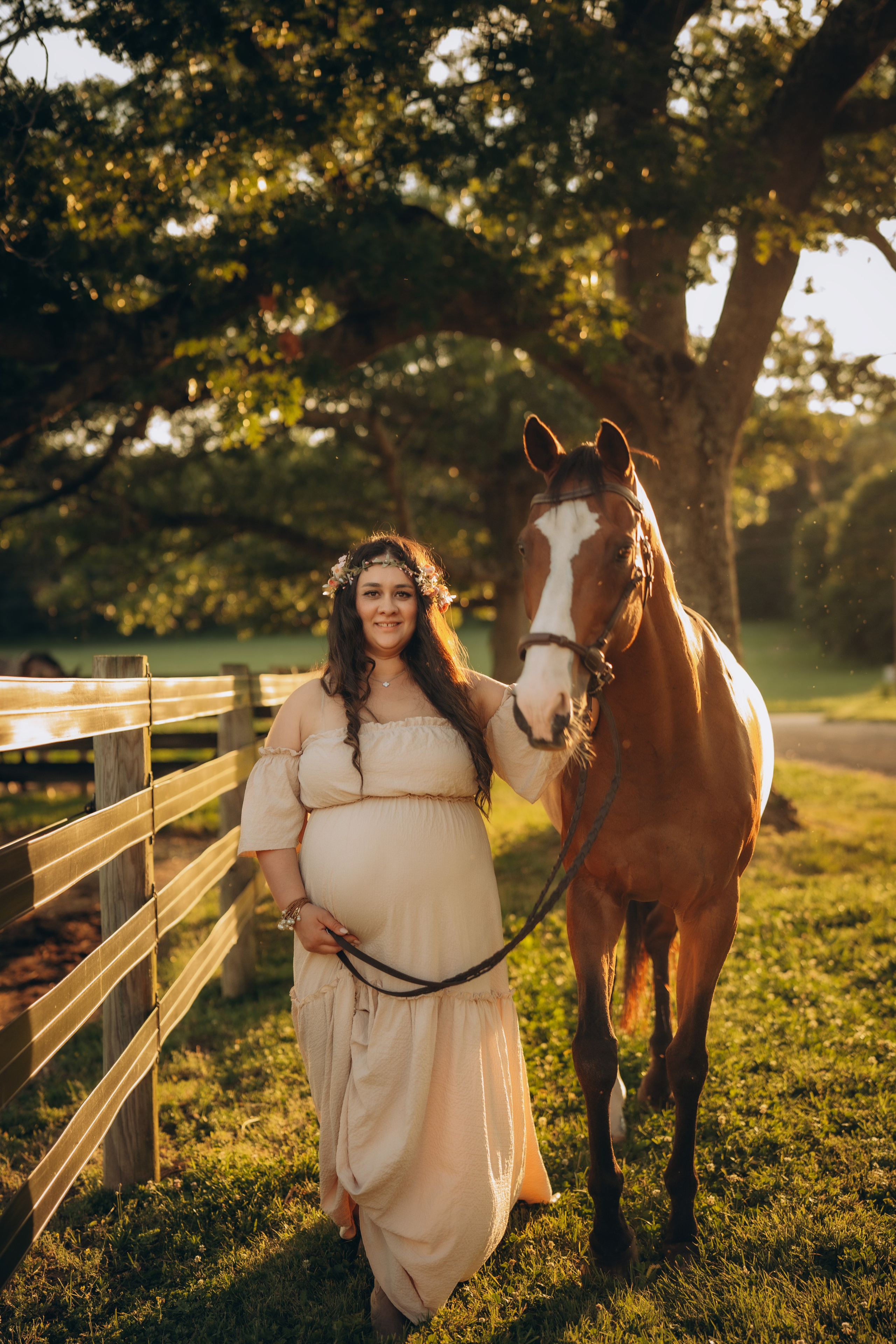 Photoshoot with a Horse. Lifestyle Family Photographer in Pennsylvania