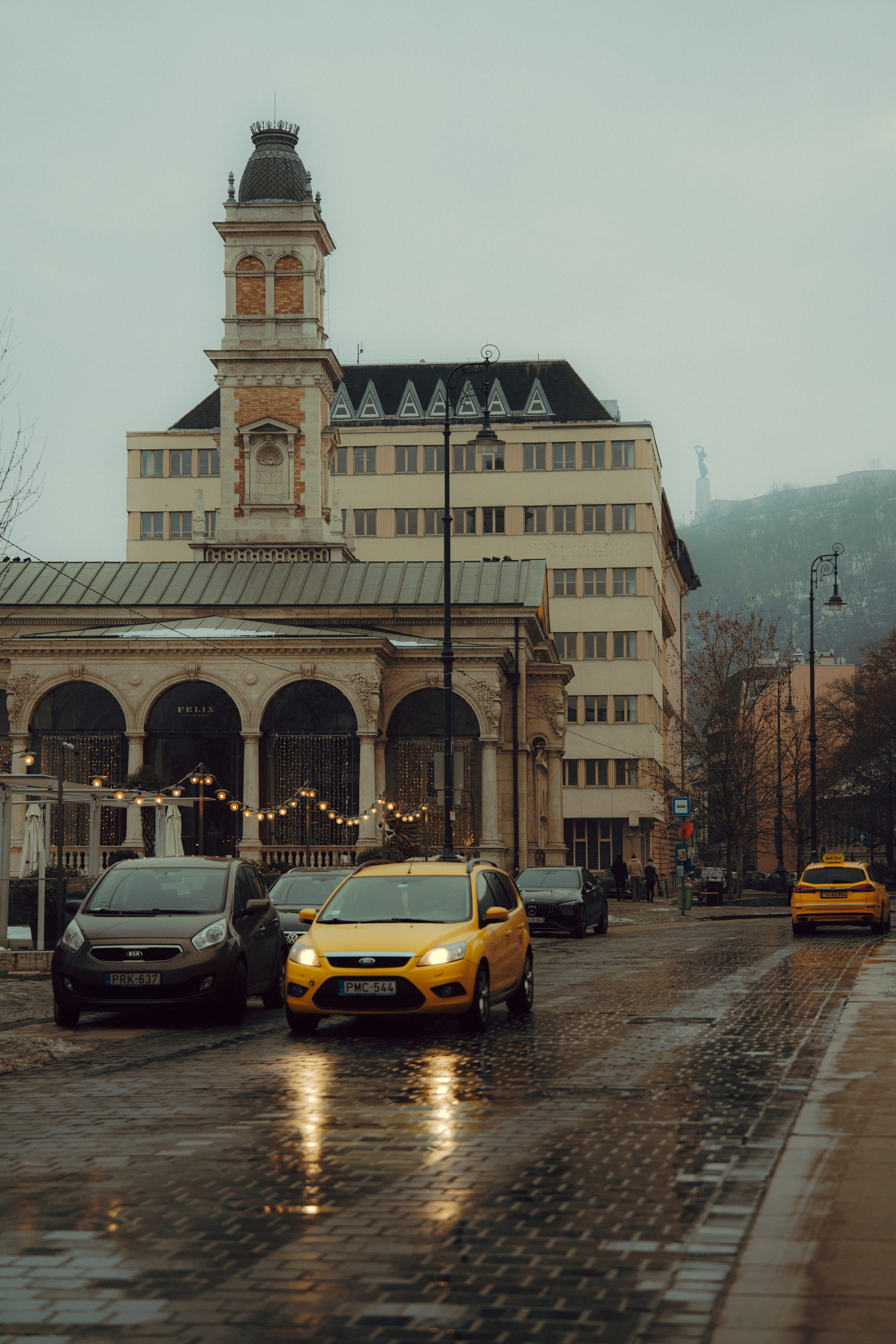Budapest. Merabi Eminashvili