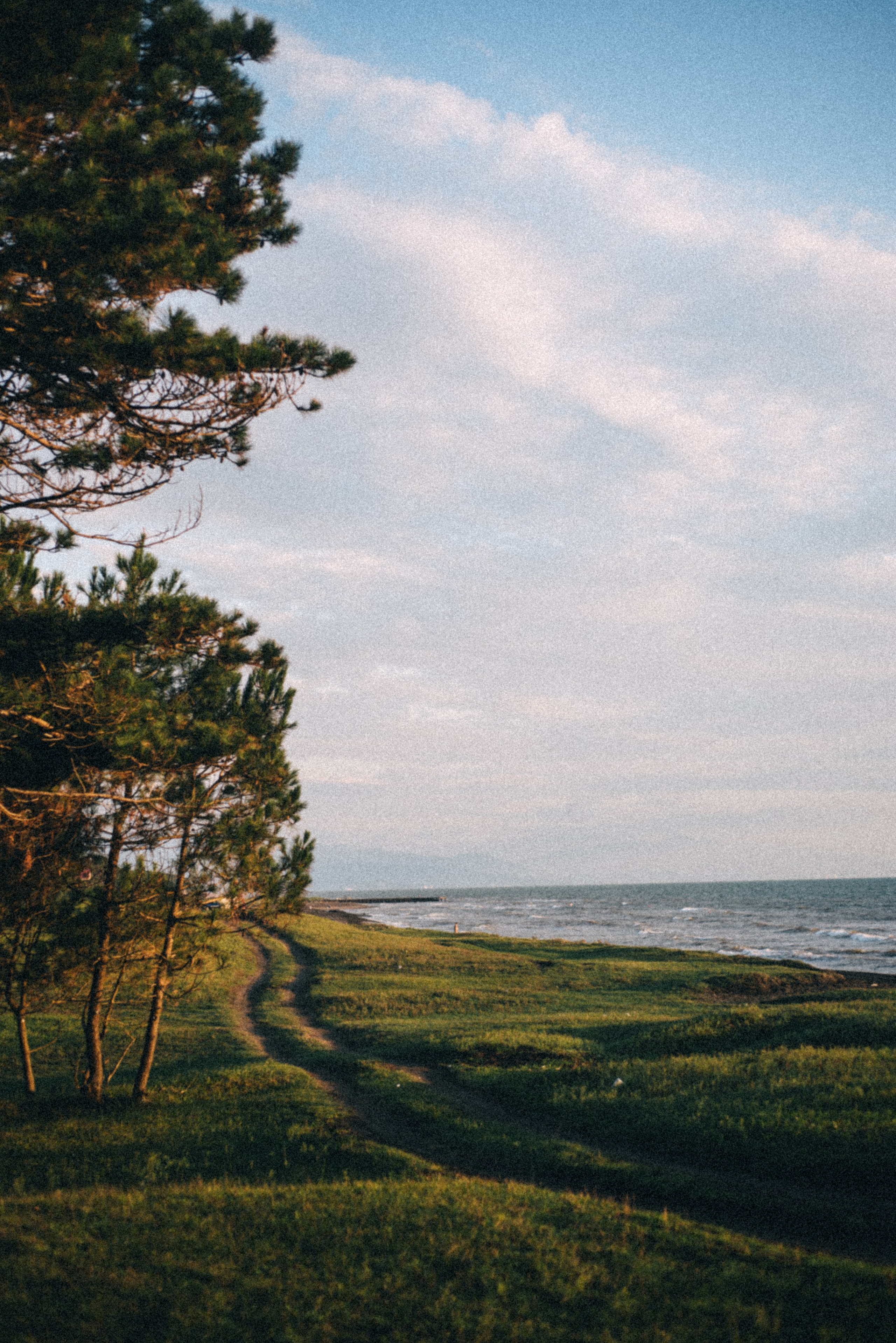 Адж. Anita_photo