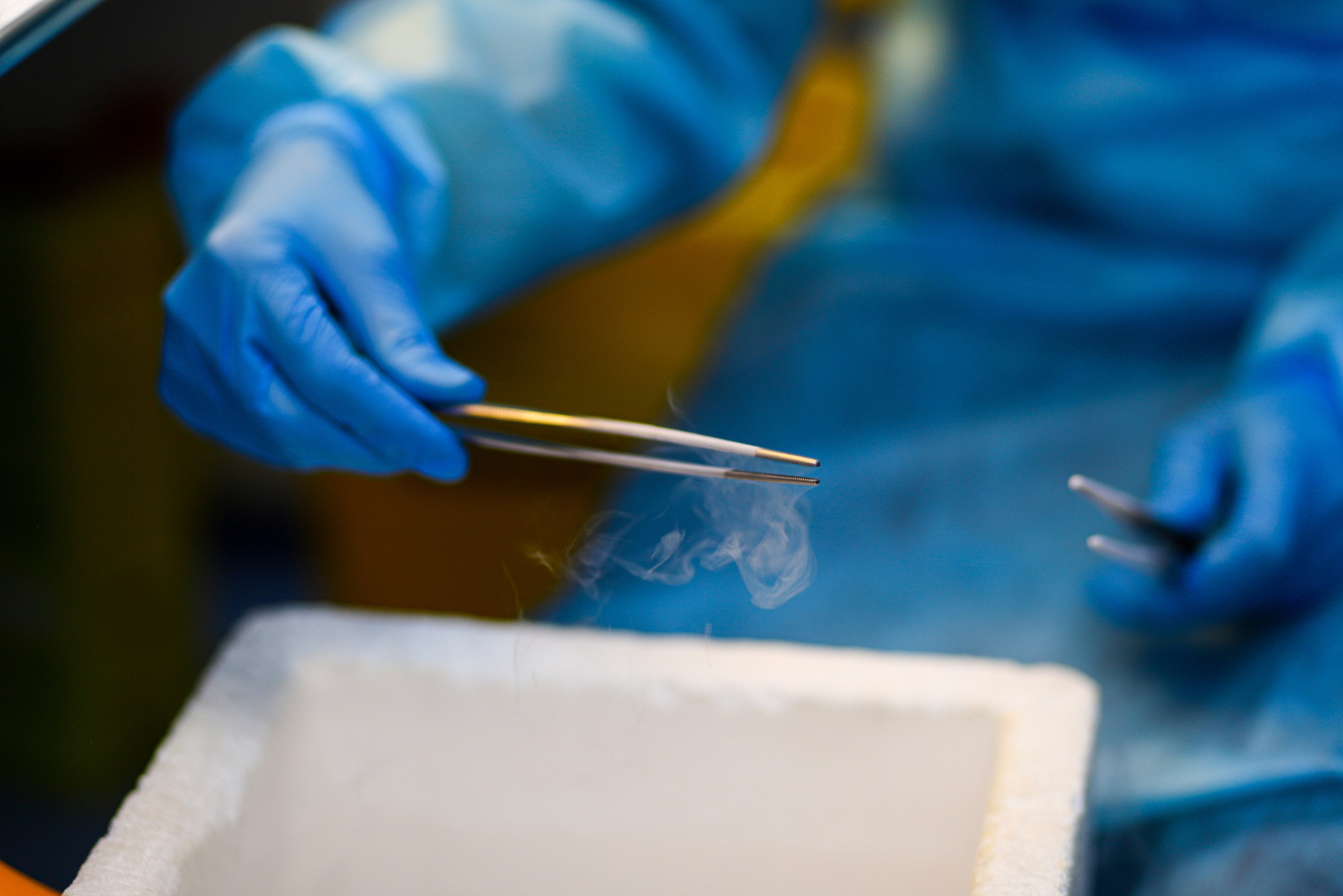 Business. Portrait and family photographer in Fort Collins Dania Gaisina