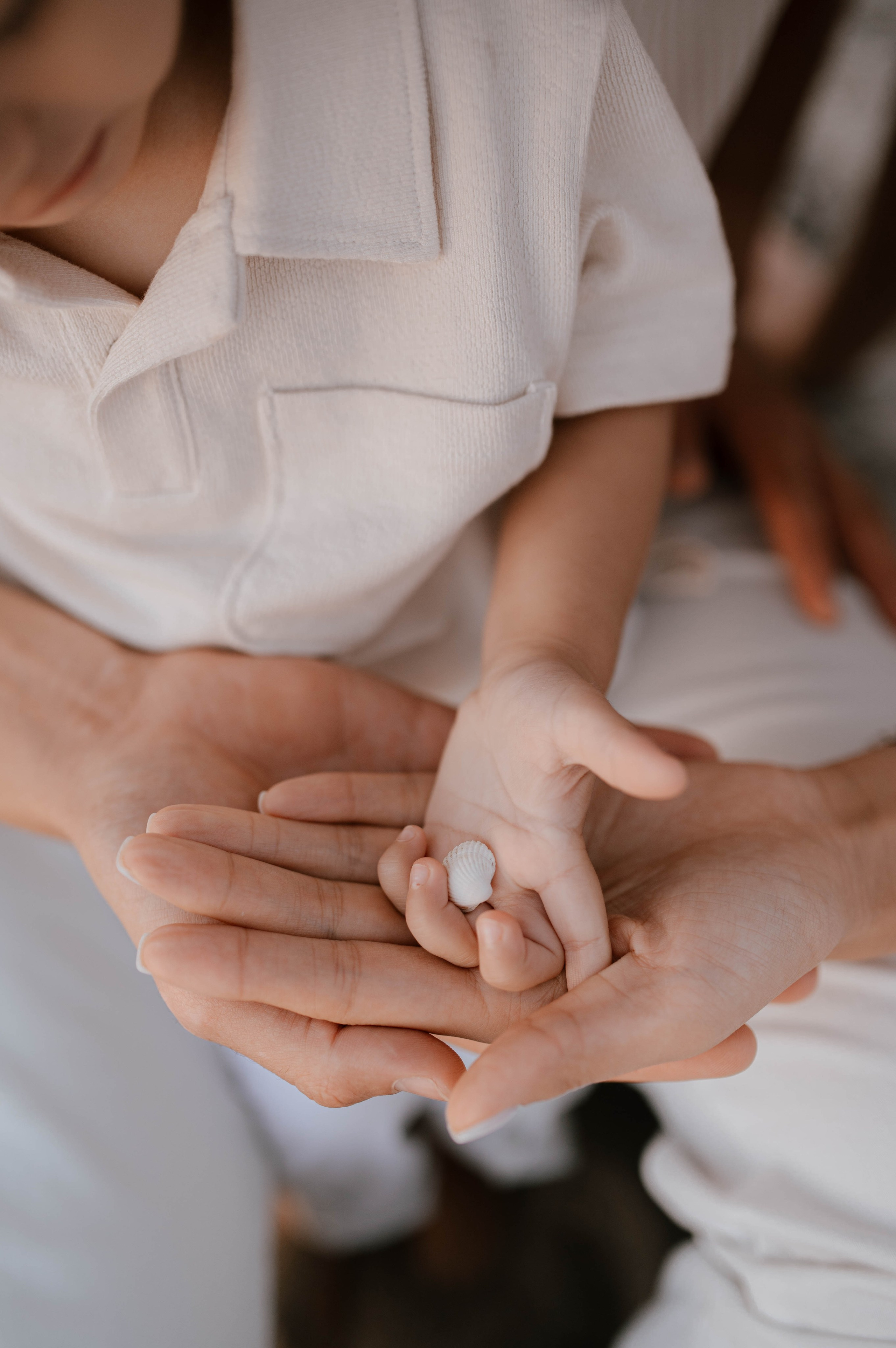 Aida, Ruslan, Alan. Home page