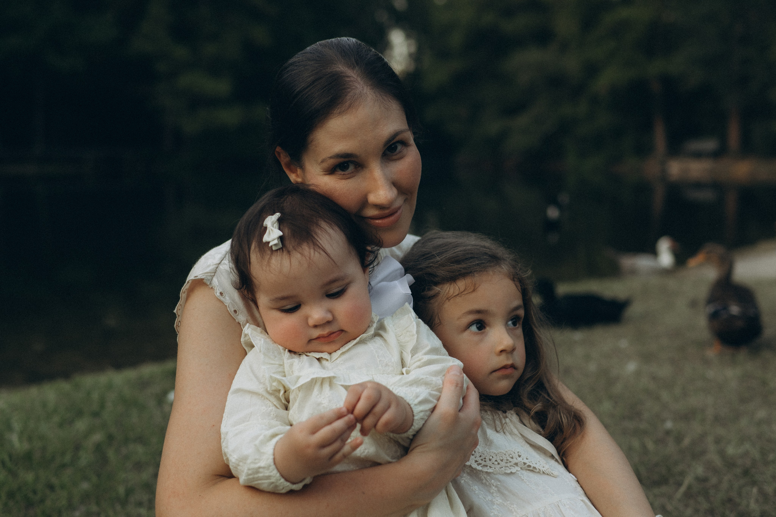 The Woodlands. Lens Captures Life